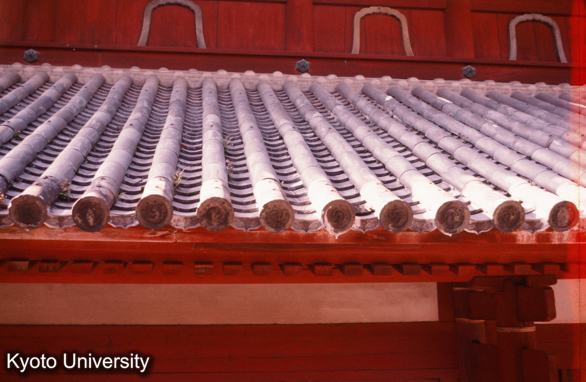 崇福寺大雄宝殿 本瓦葺屋根・釘帽詳細 (1)