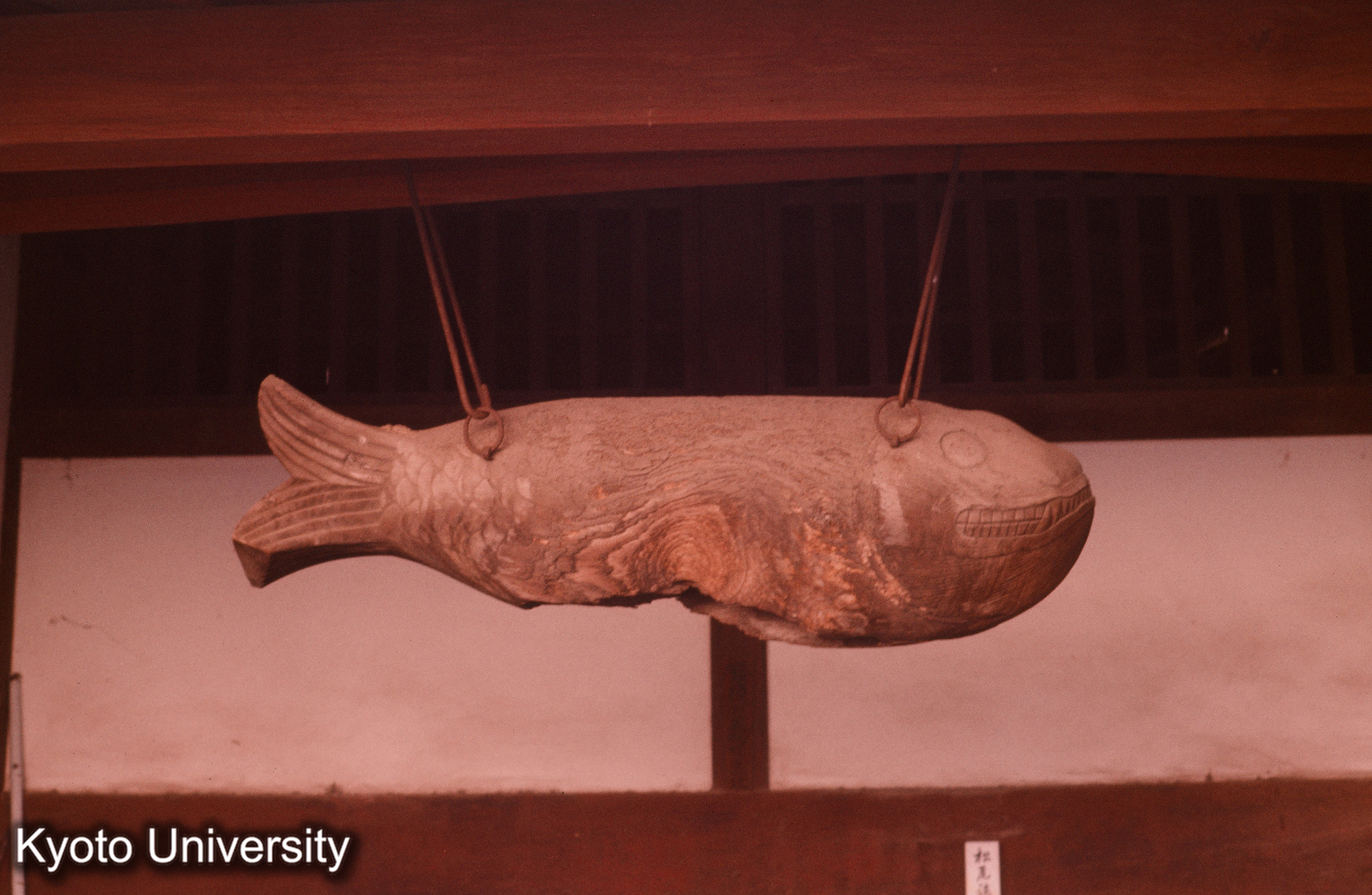 興福寺 庫裡前 魚板 (1)