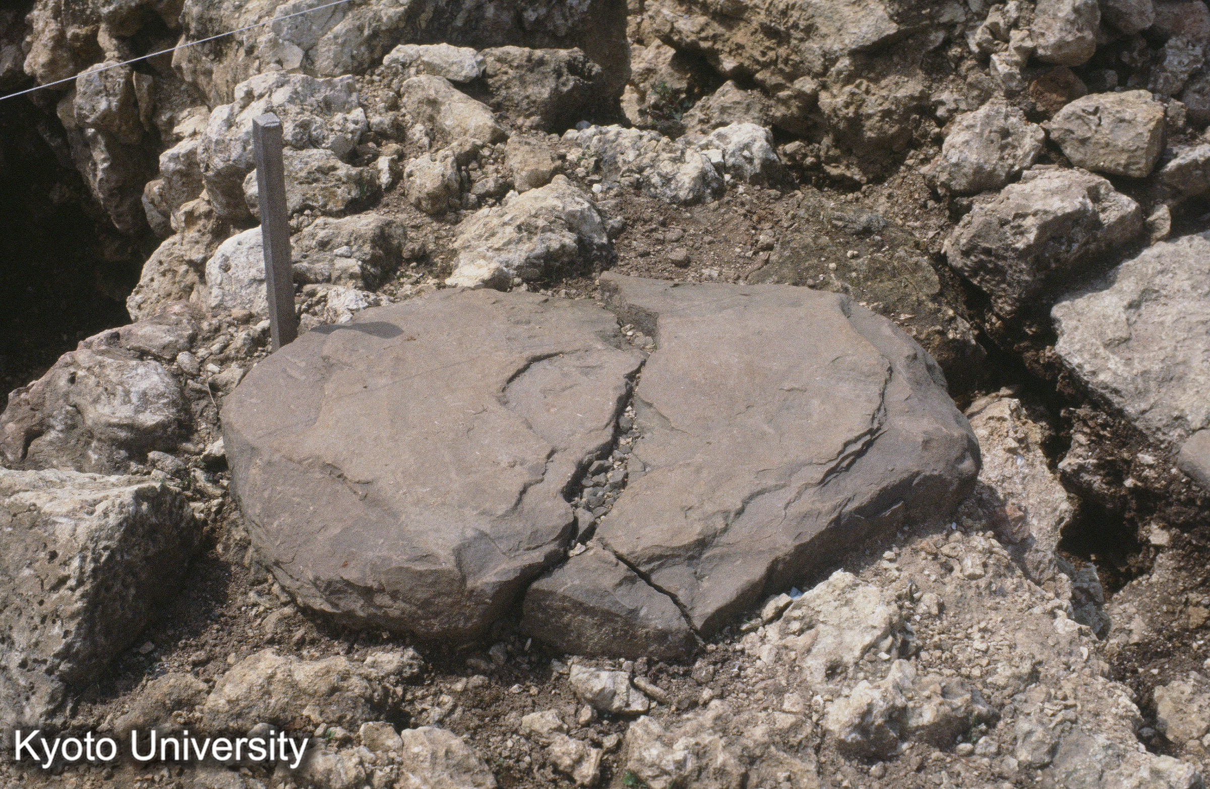 17_首里城正殿 柱礎 (1)