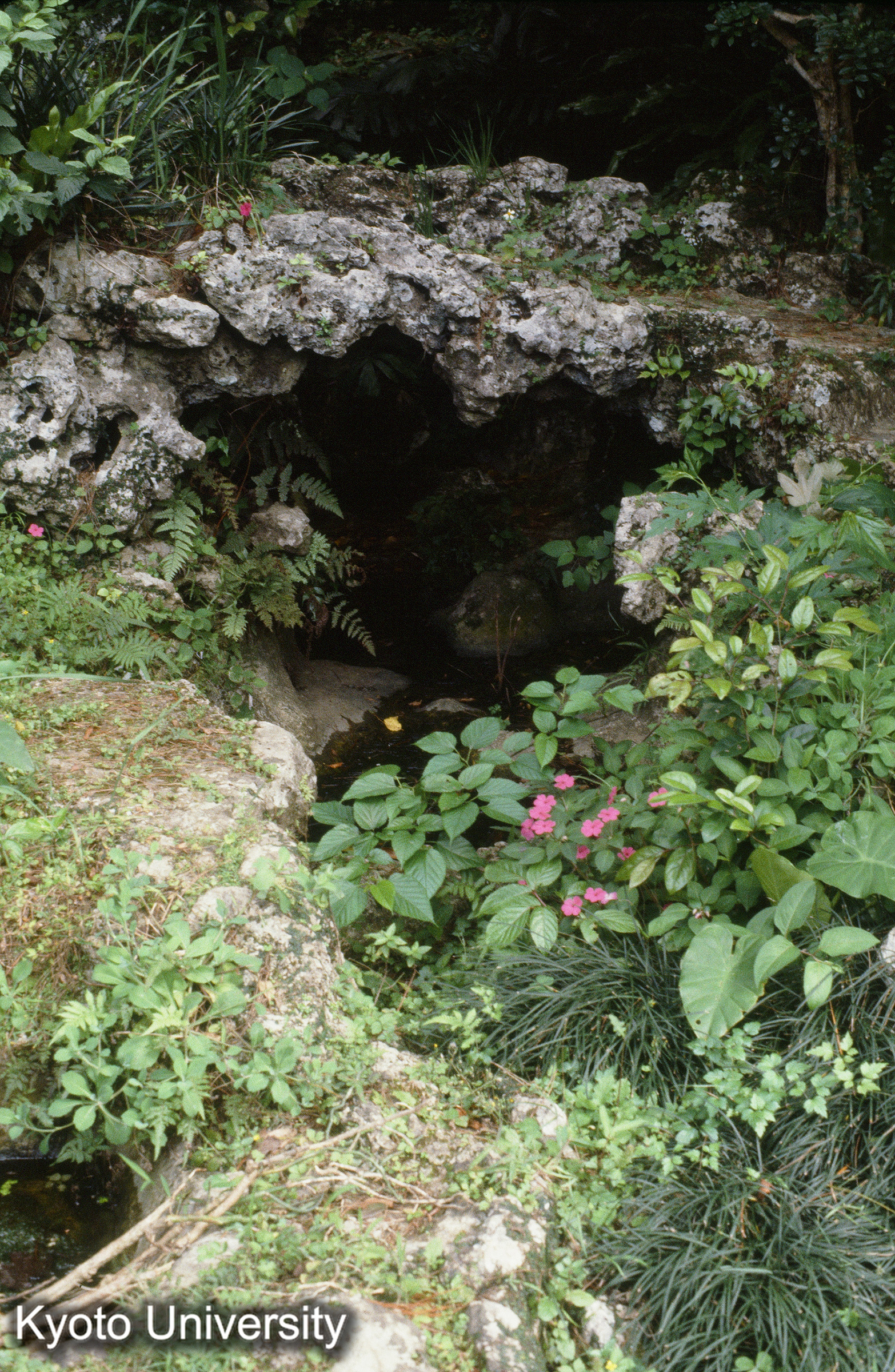 37_巣雲園 石拱橋（琉球石灰岩） (1)