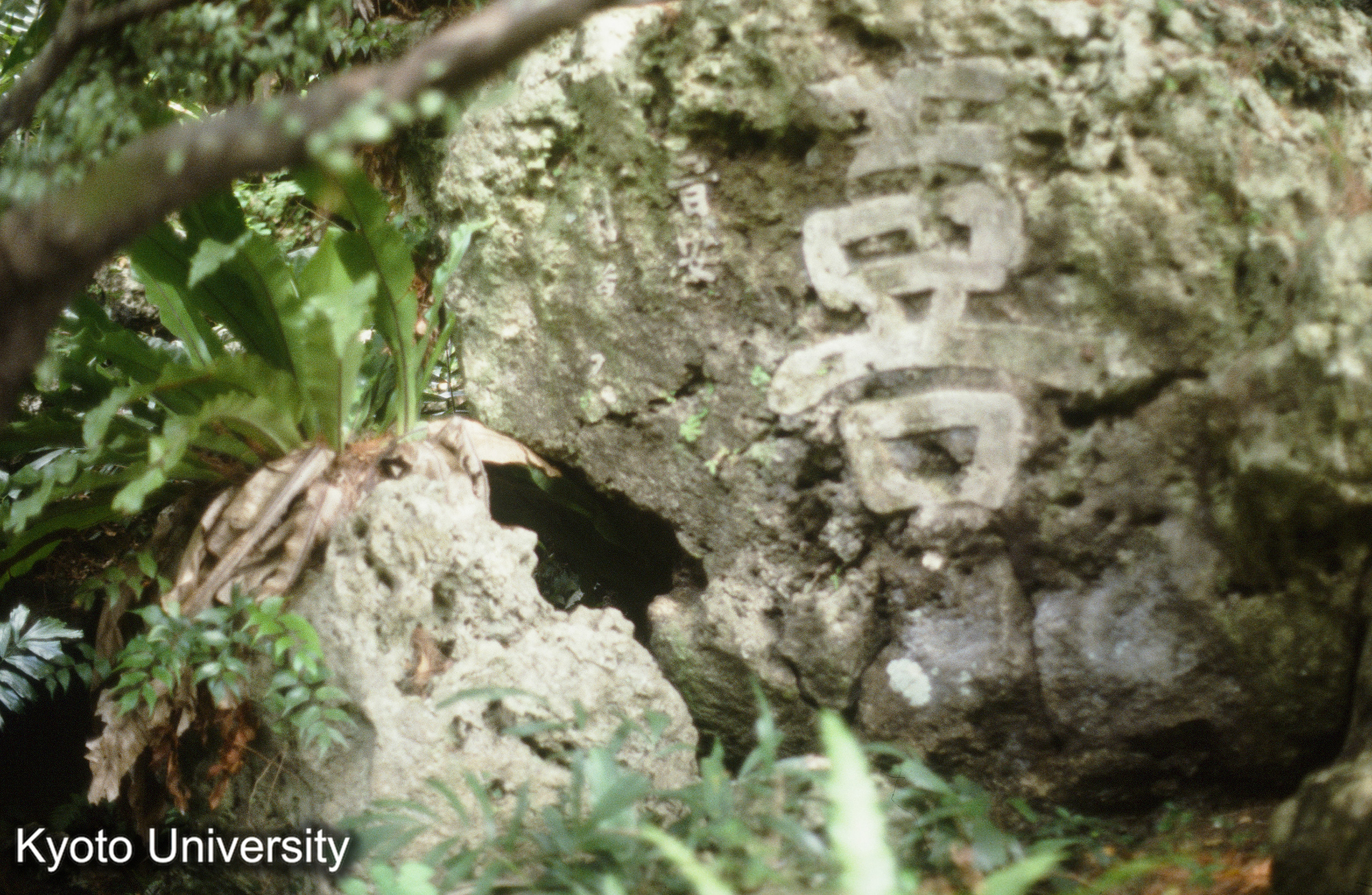 38_巣雲園 石山（刻字 陽刻） 刻字“晋安” (1)