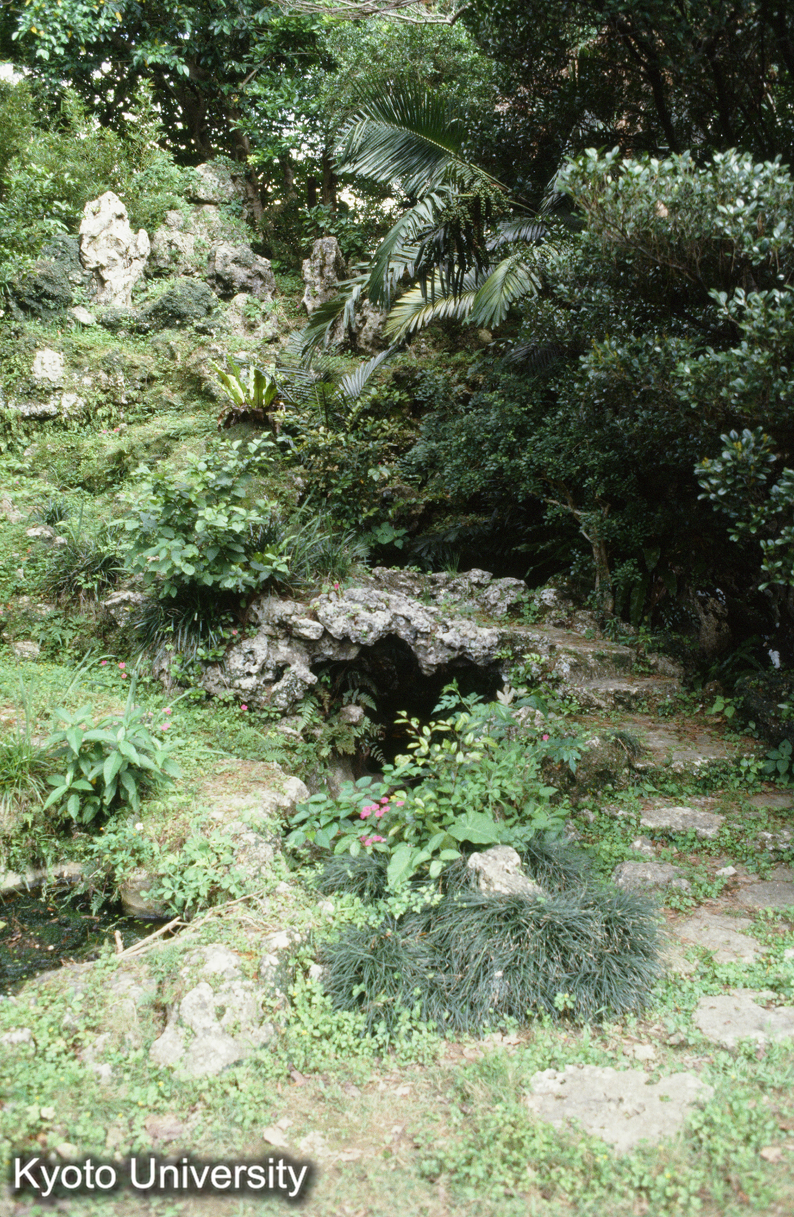 40_巣雲園 石拱橋 瀑布 (1)