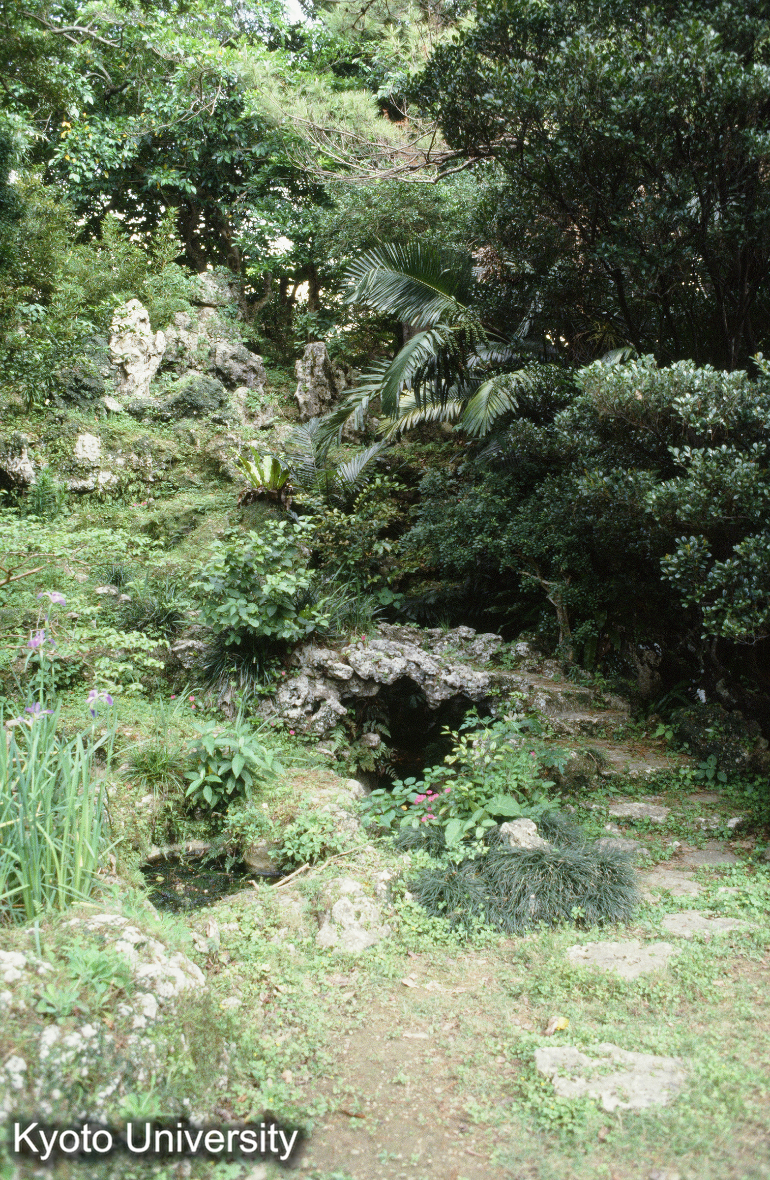 41_巣雲園 石拱橋 土山 瀑布 (1)