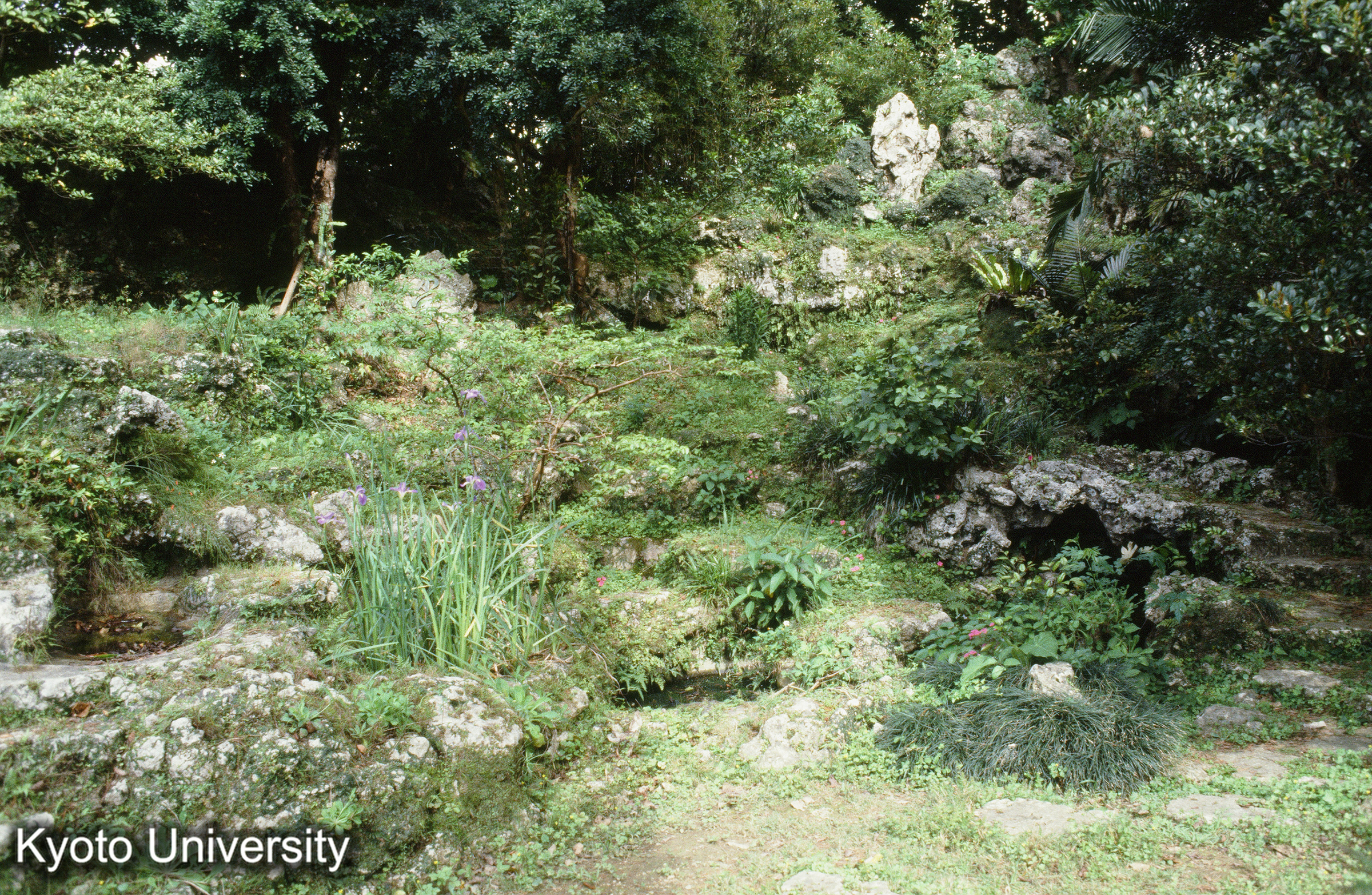 44_巣雲園 土の仮山、水池 (1)