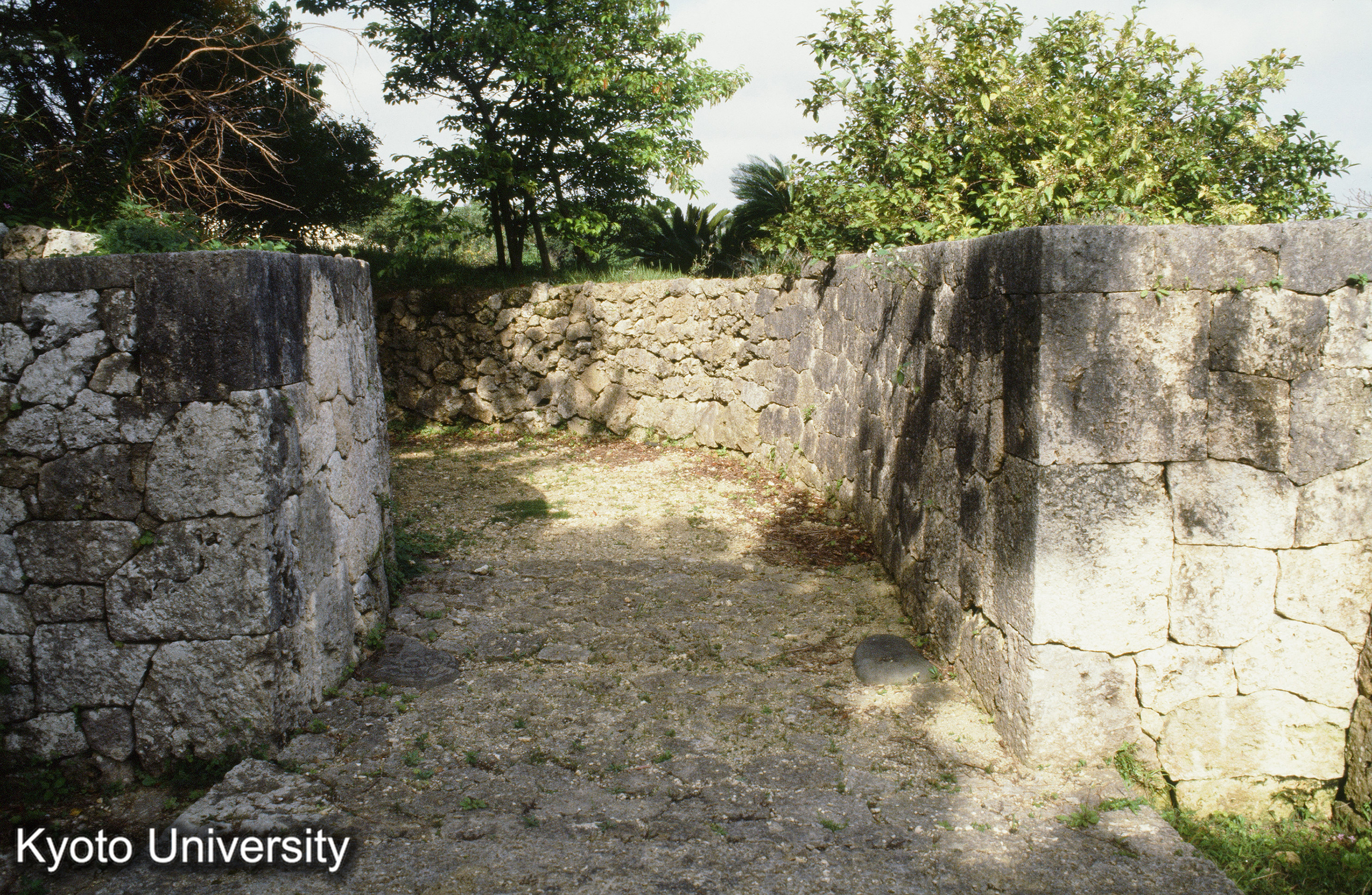 53_識名園”石壁” 水辺にあり”入門処屈曲” (1)