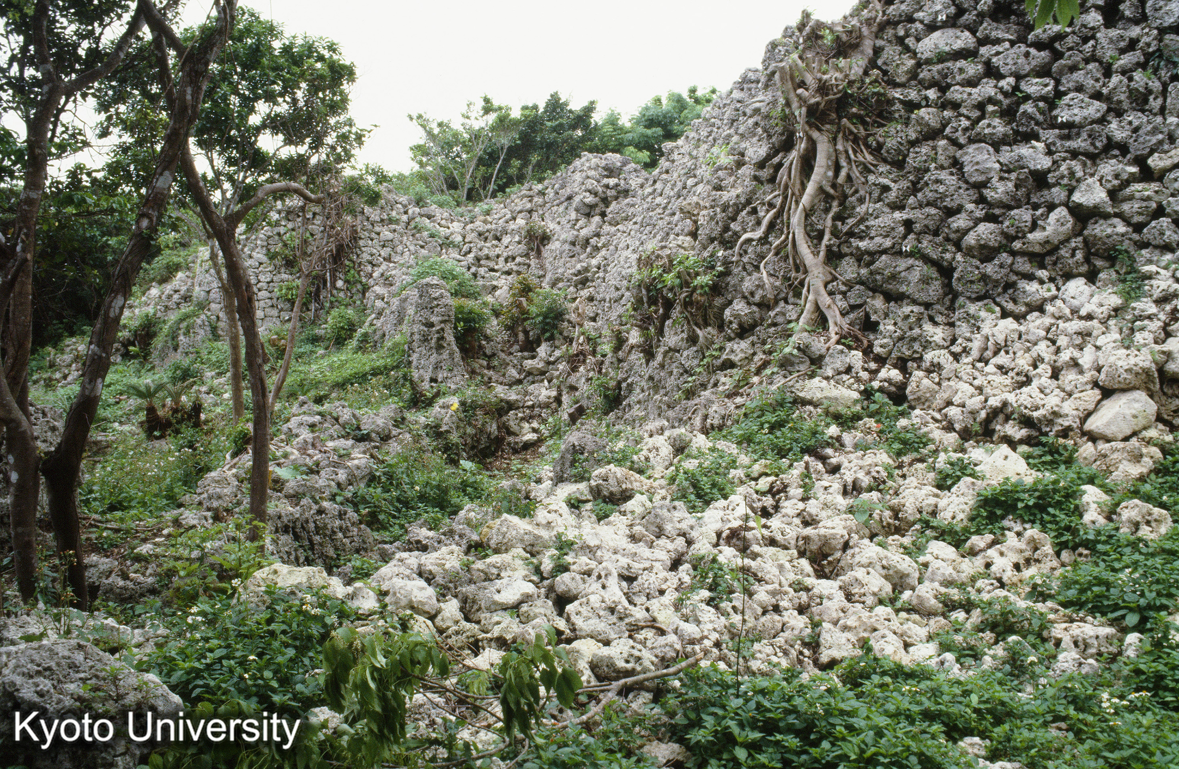65_糸数城 石墻 (1)