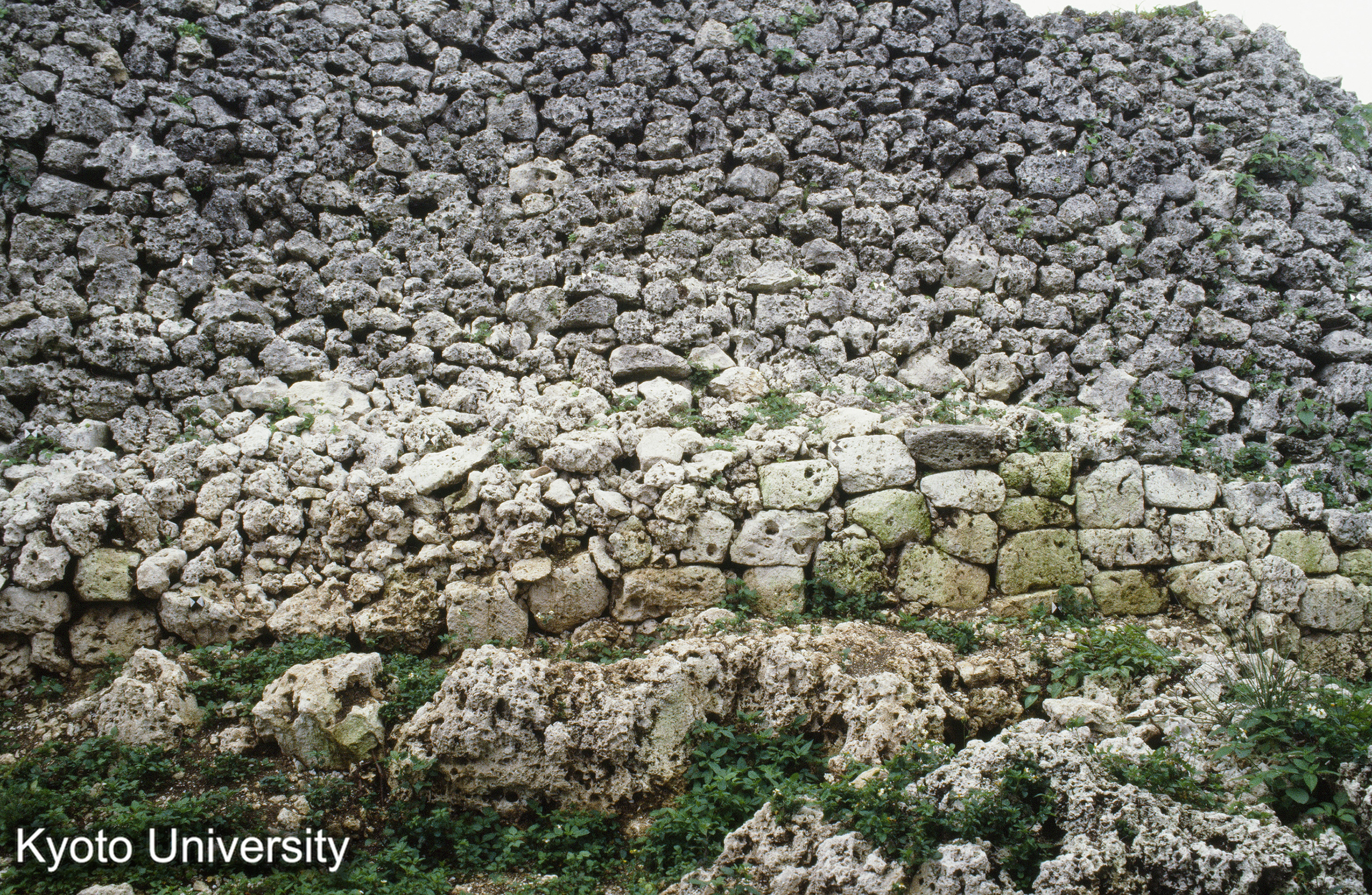 66_糸数城 石墻（露砌と内積み） (1)