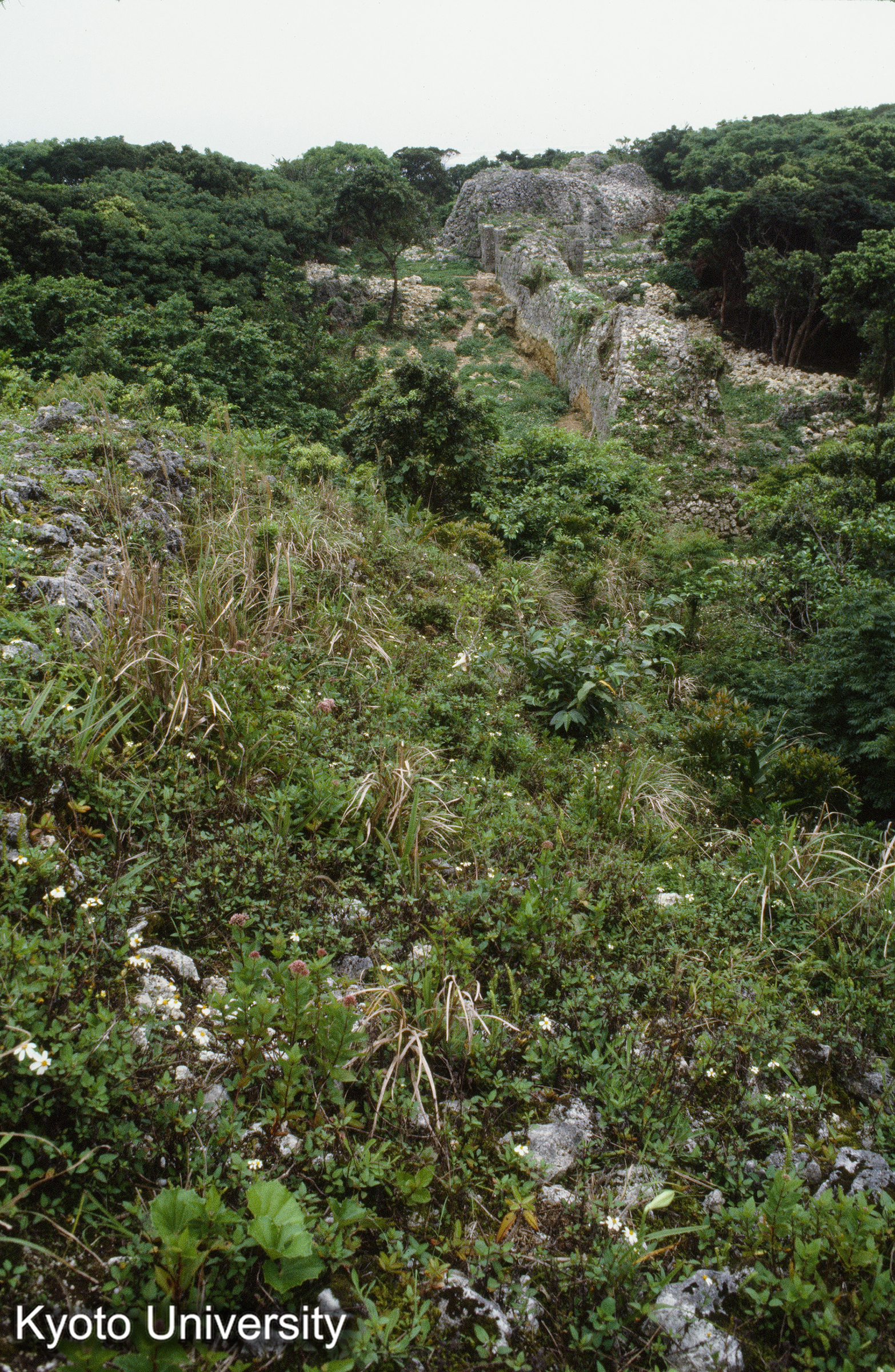 72_糸数城 城墻 (1)