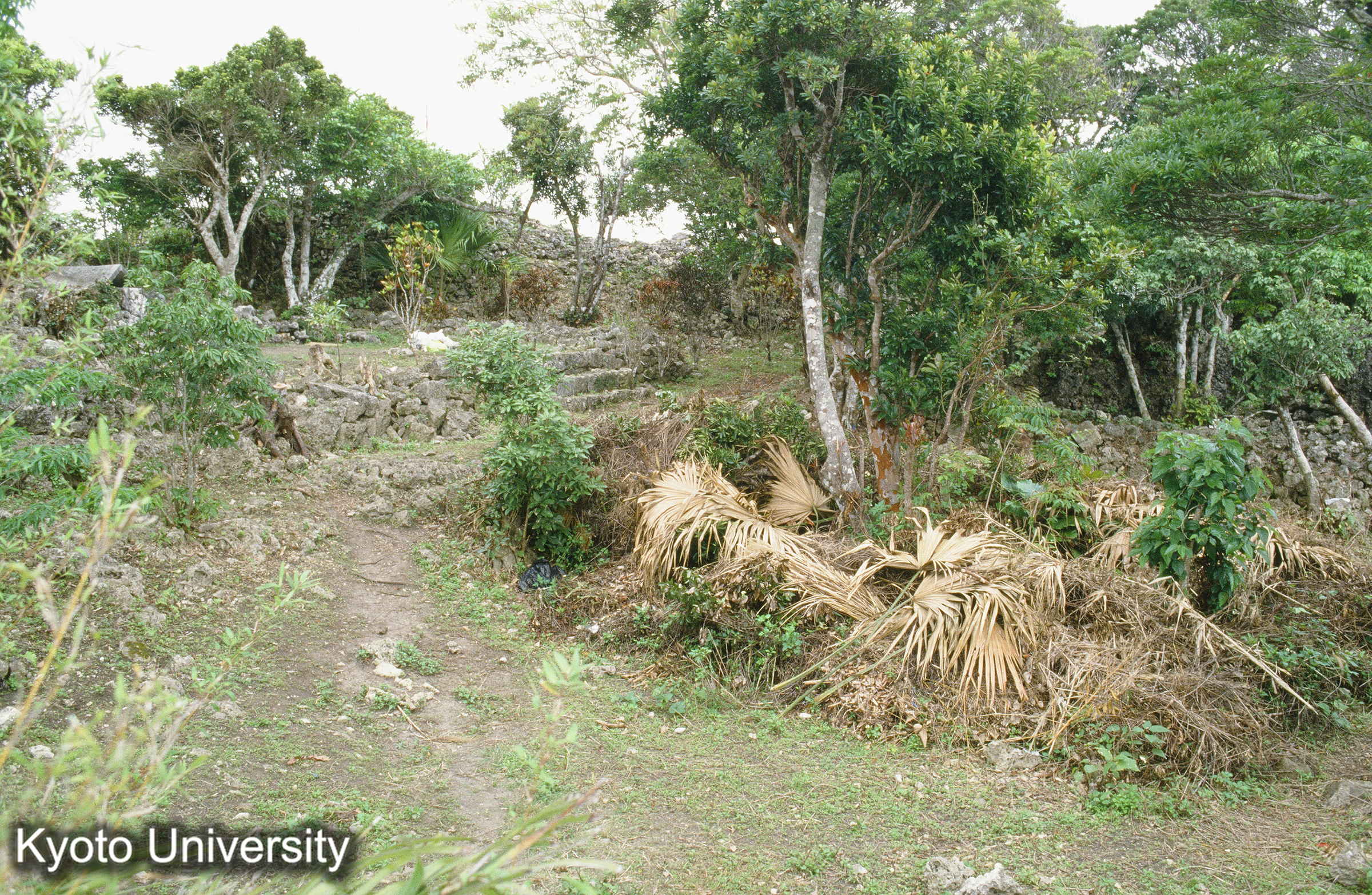 76_玉城 本丸 (1)