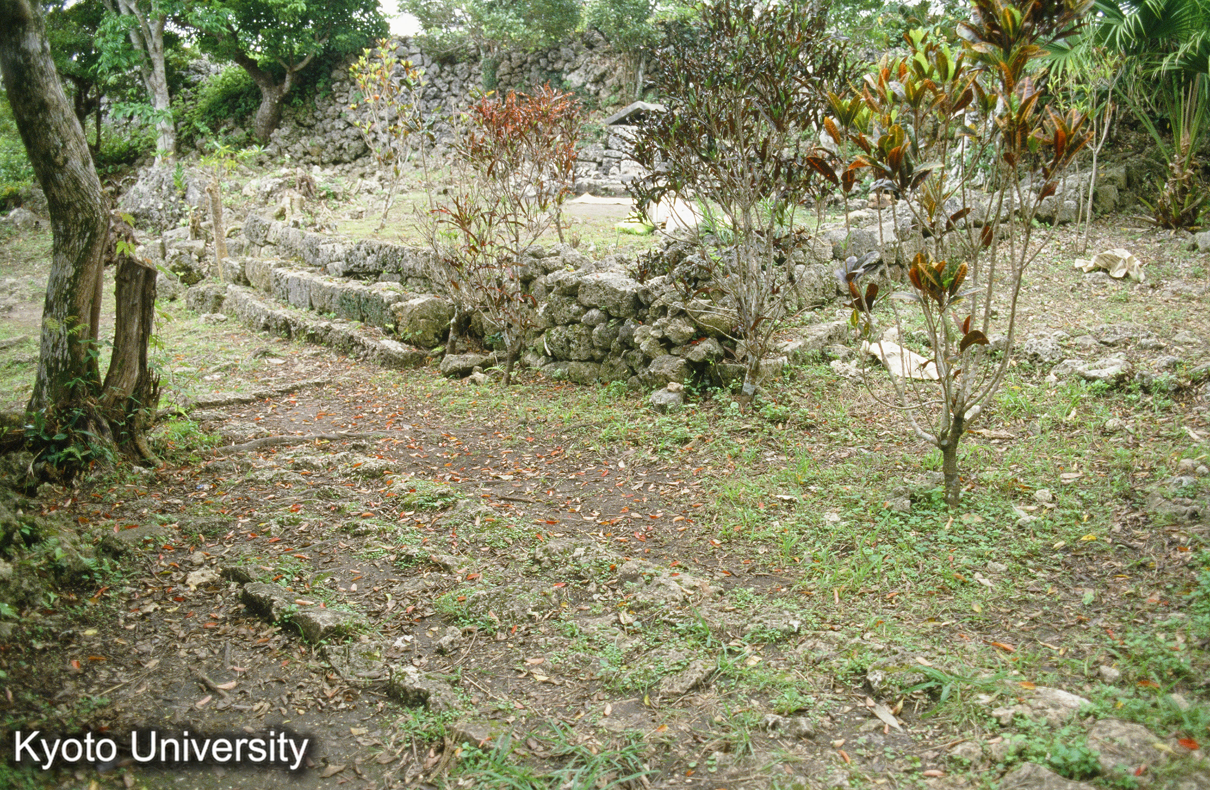 80_垣花城 カチノハナグスク (1)