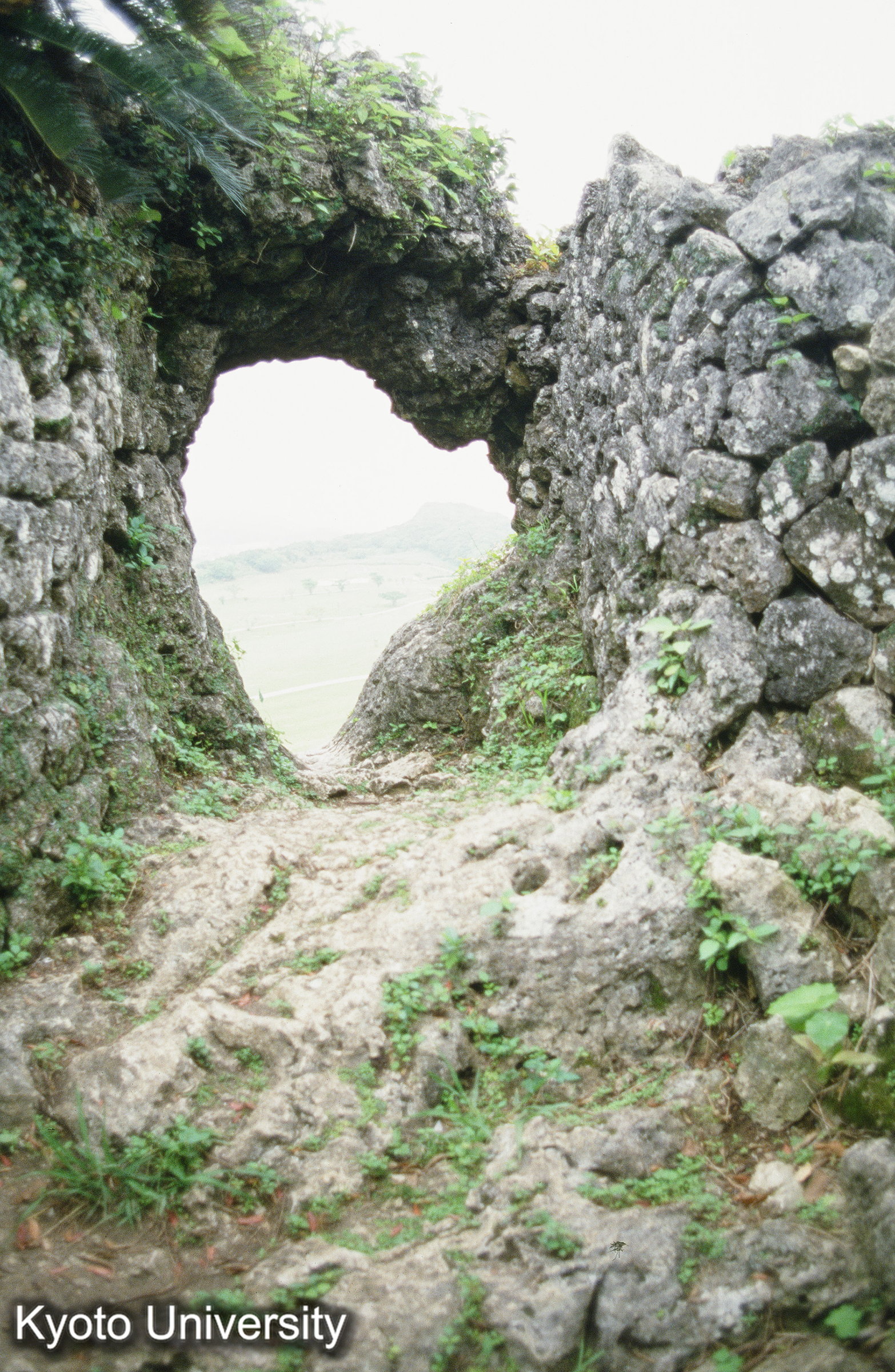 81_垣花城 （カチノハナグスク） (1)