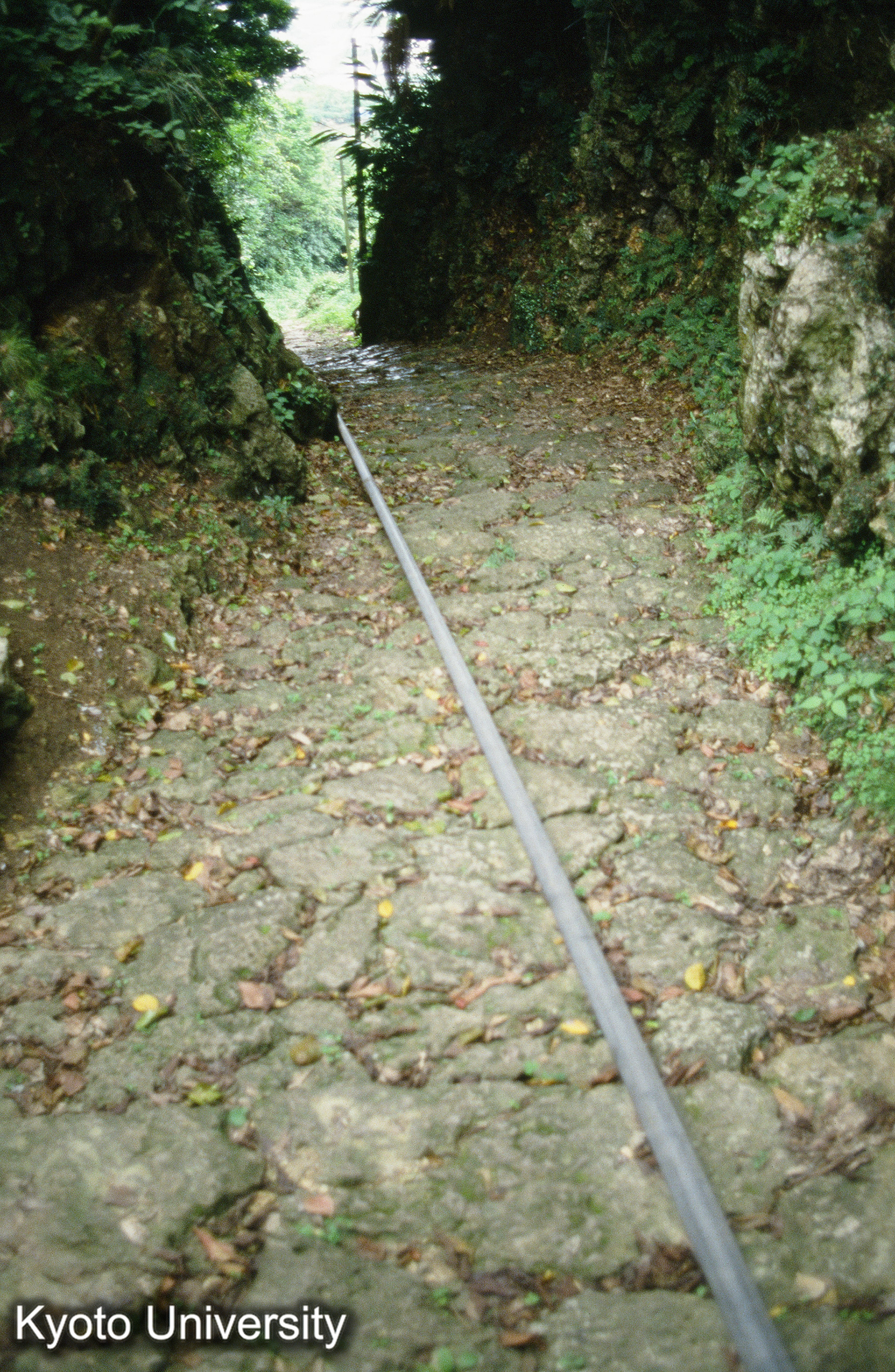 87_垣花樋川（カチノハナ・ヒージャー） (1)