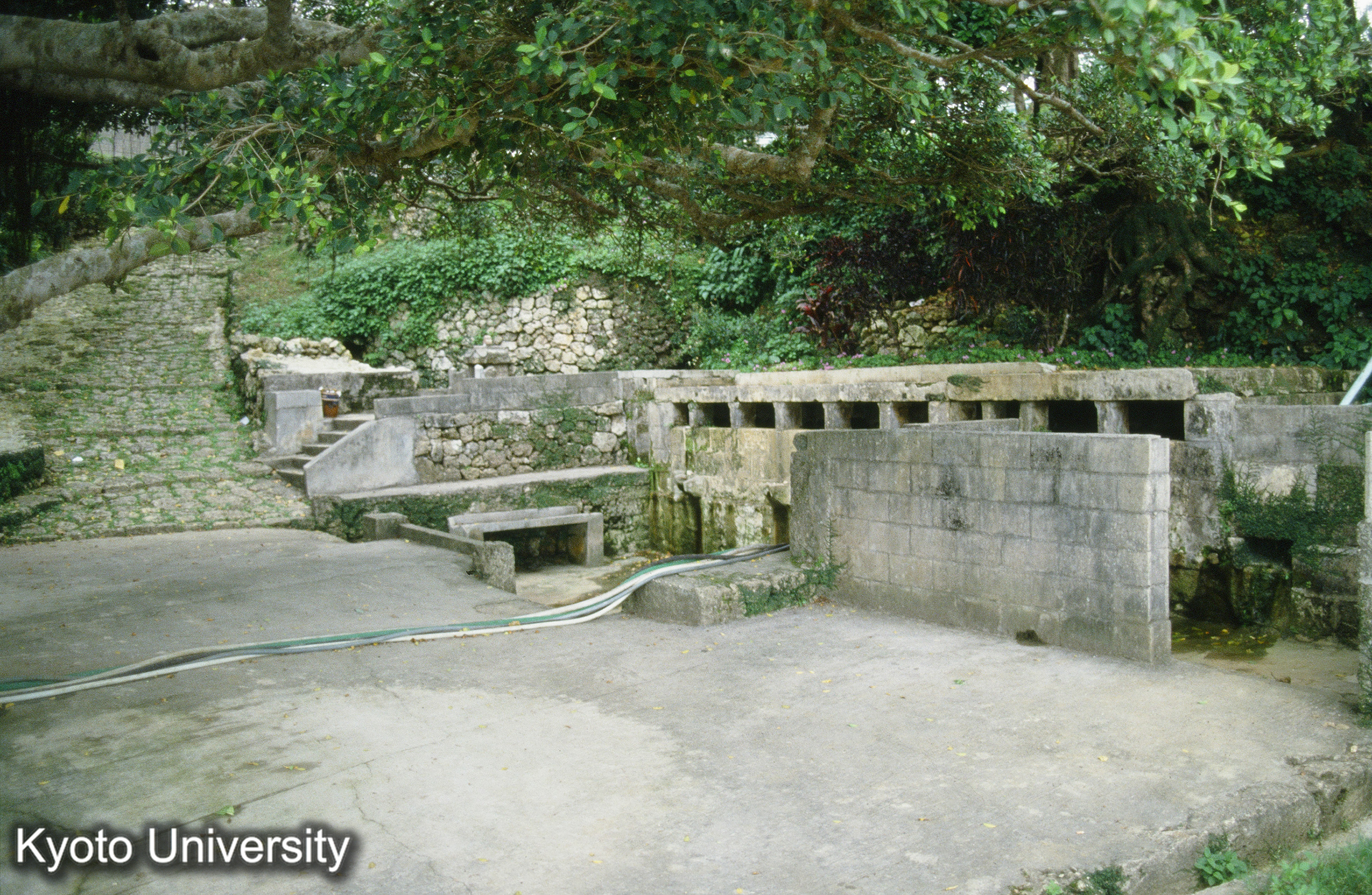 89_仲村渠児樋川 (1)