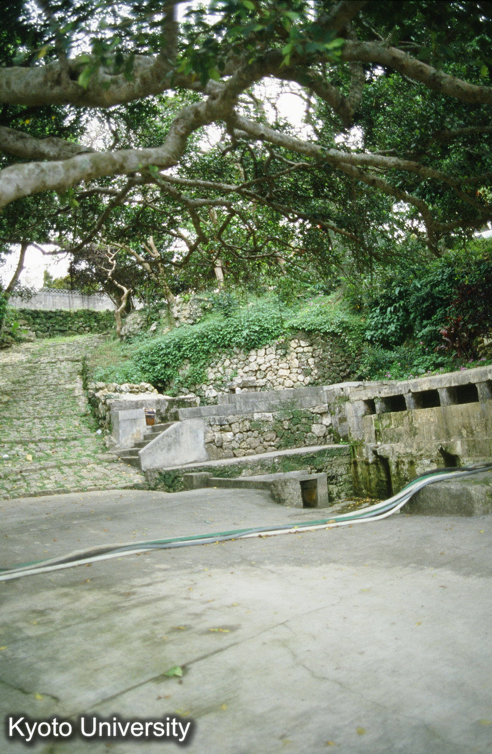 90_仲村渠児樋川 (1)