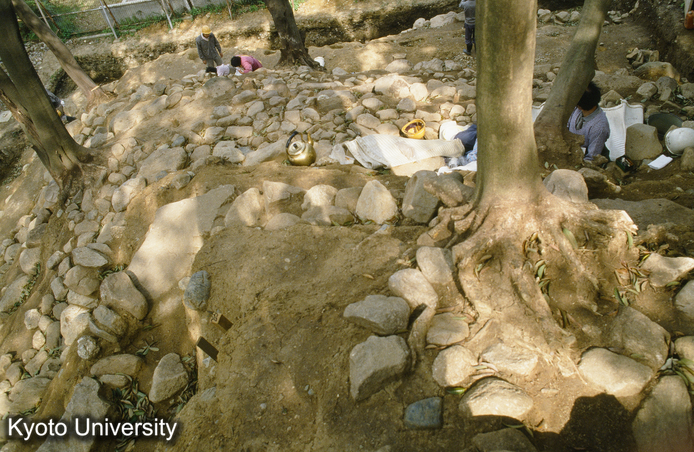 98_頭塔（俯観） (1)