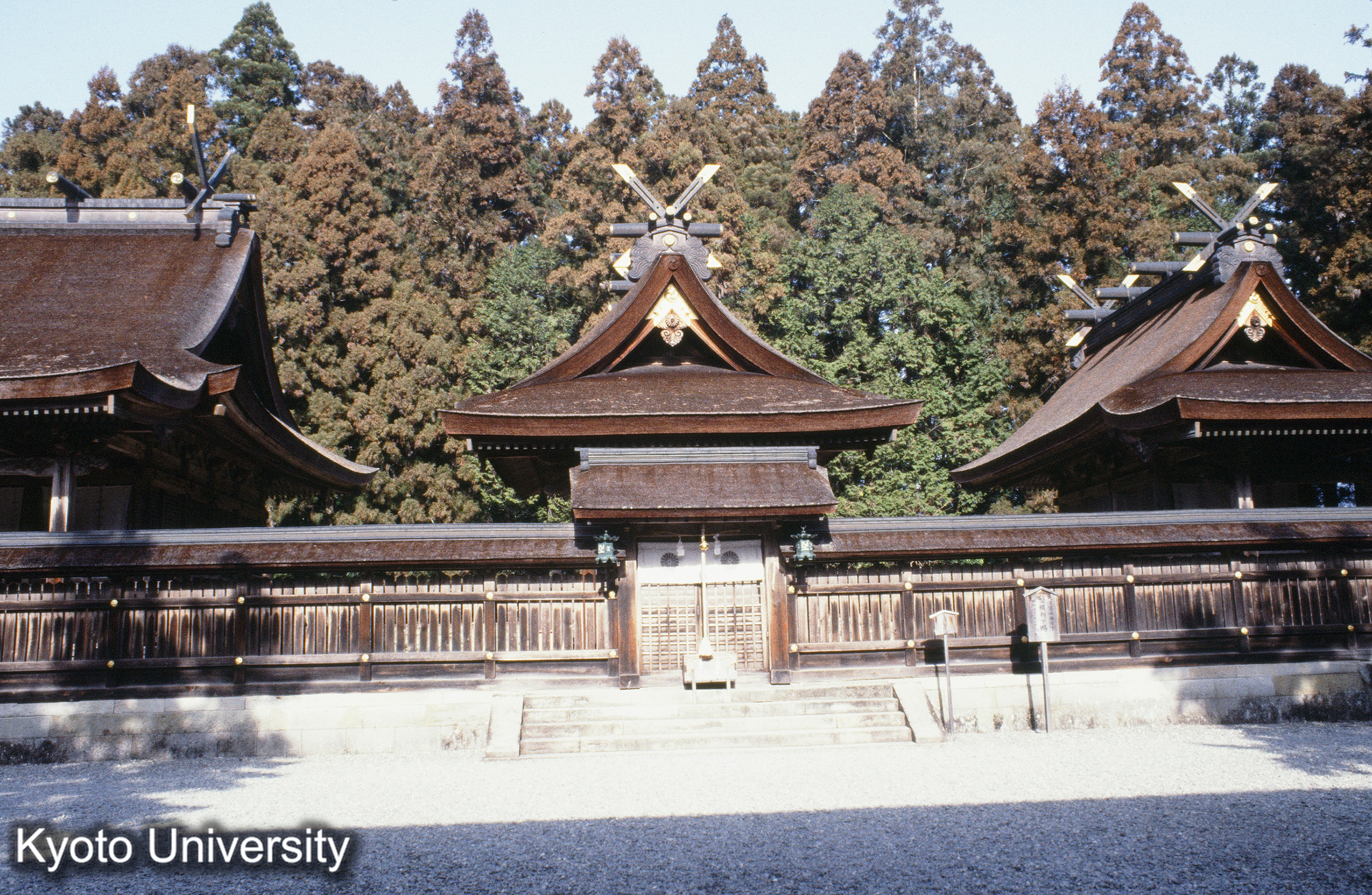 ［スライド］ (1)