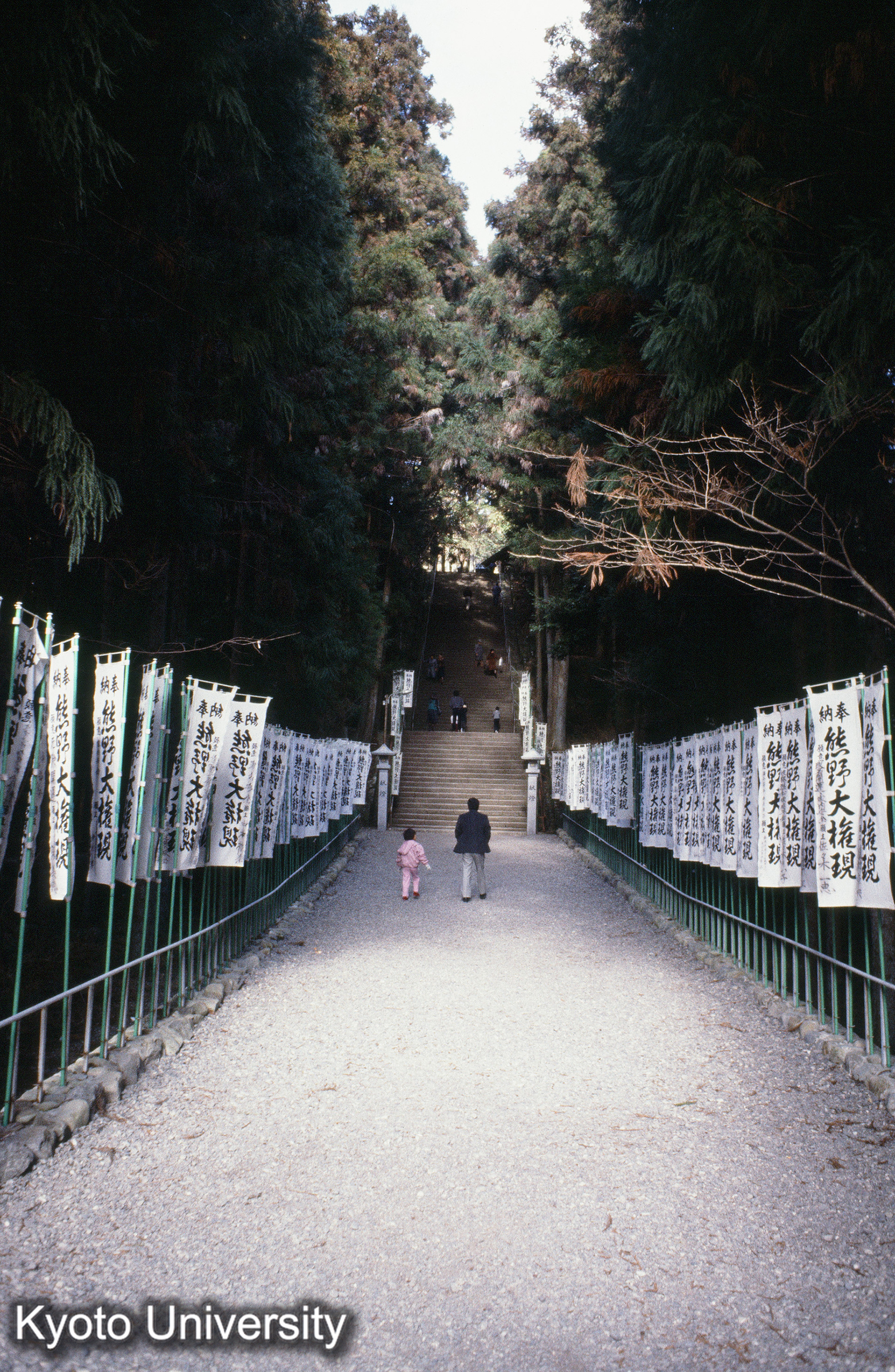 ［スライド］ (1)