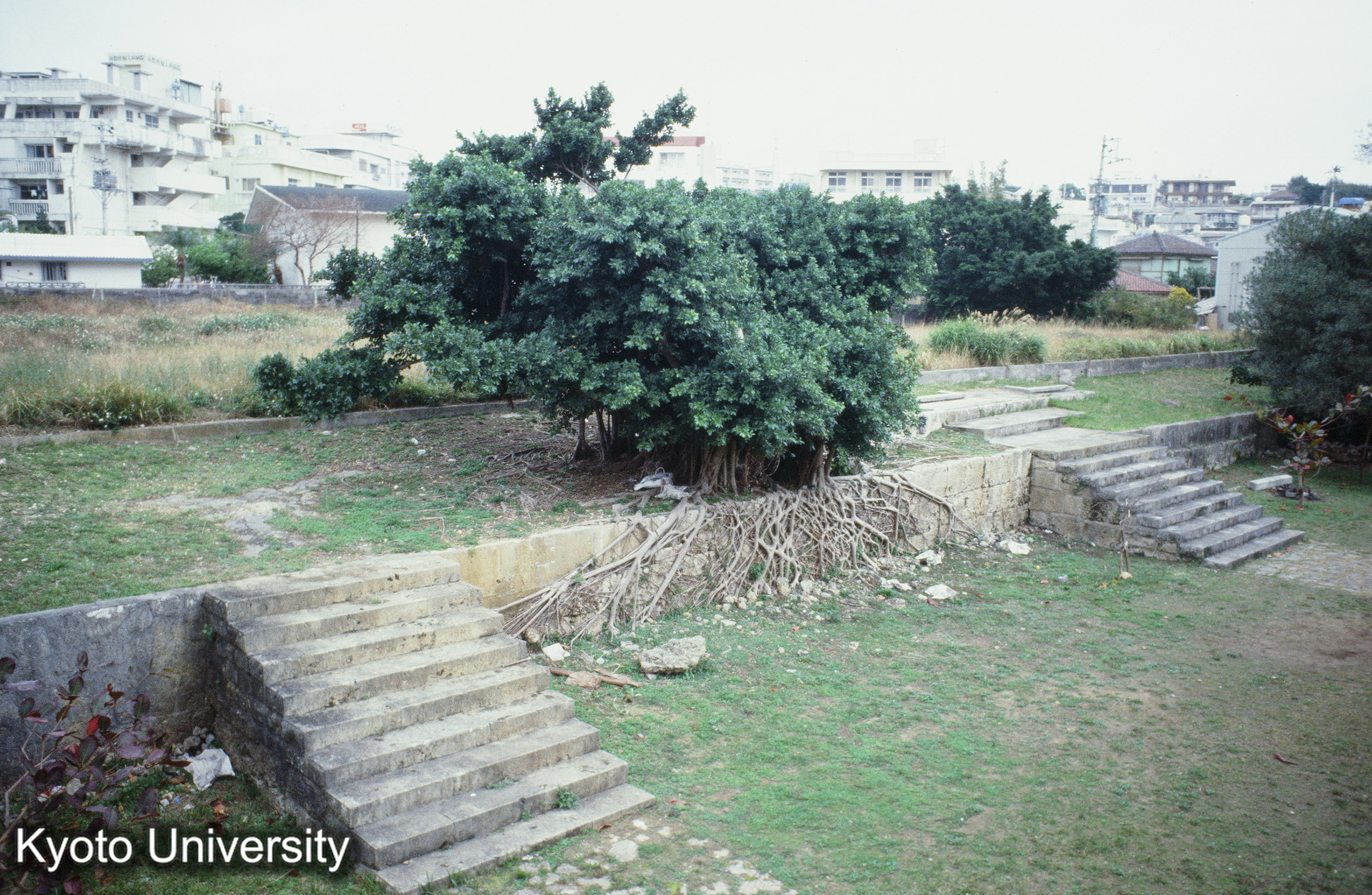 ［スライド］ (1)