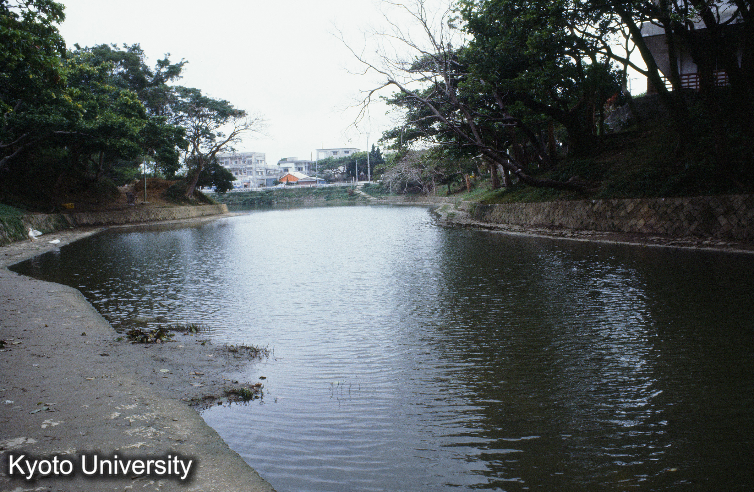 ［スライド］ (1)