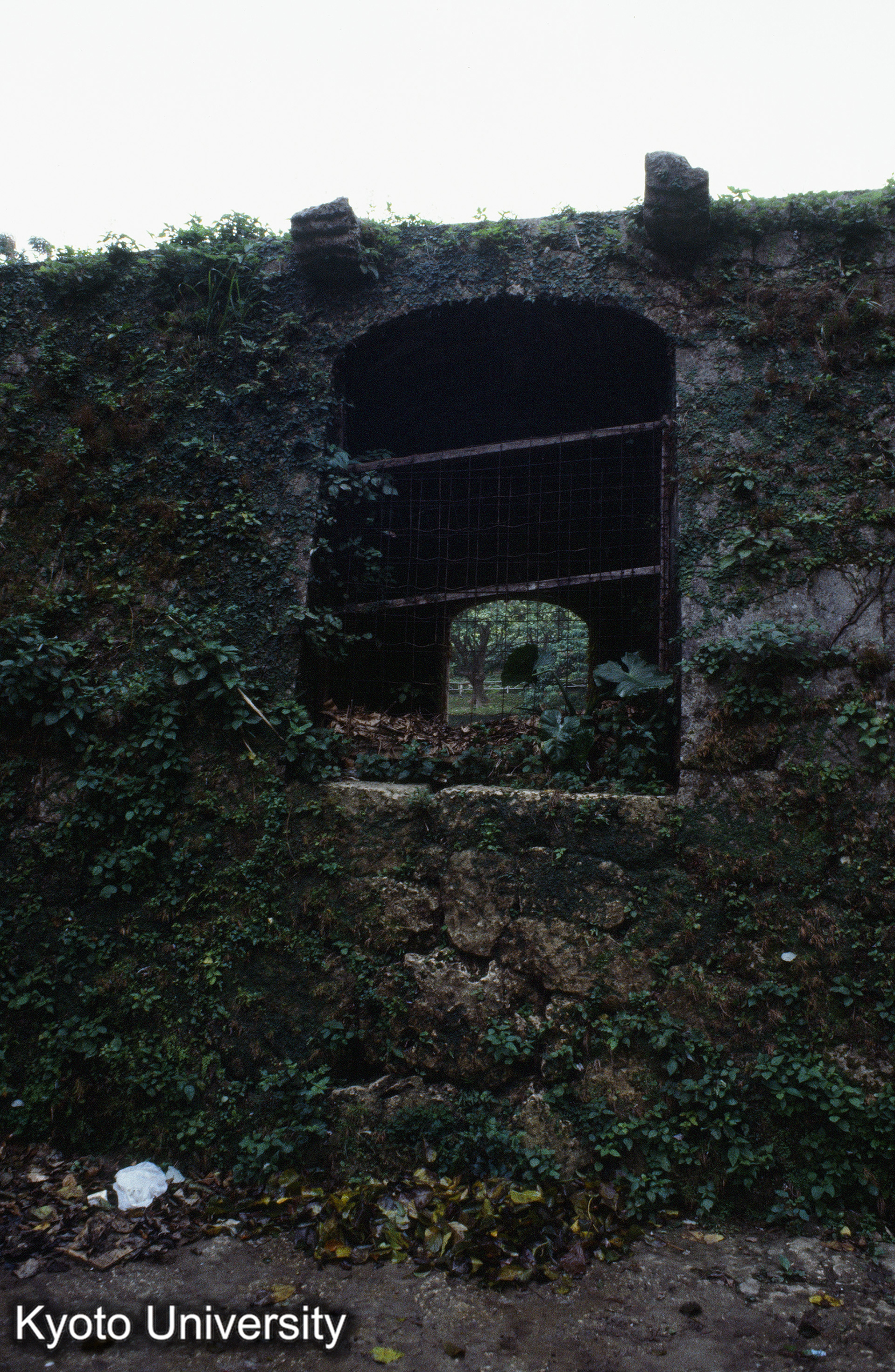 ［スライド］ (1)