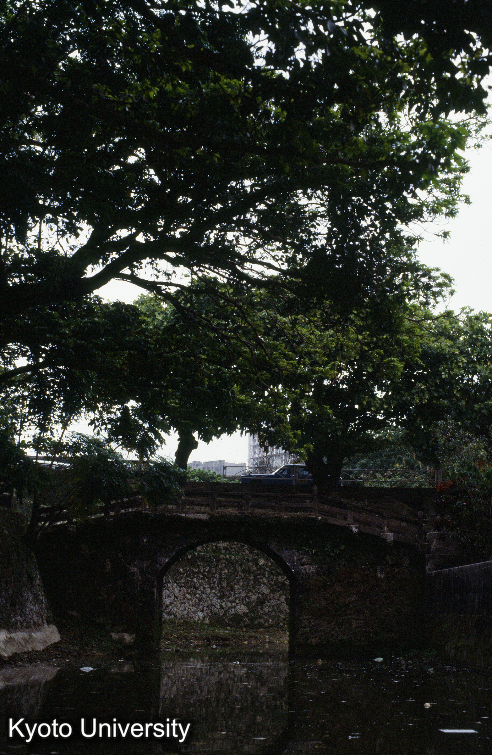 ［スライド］ (1)