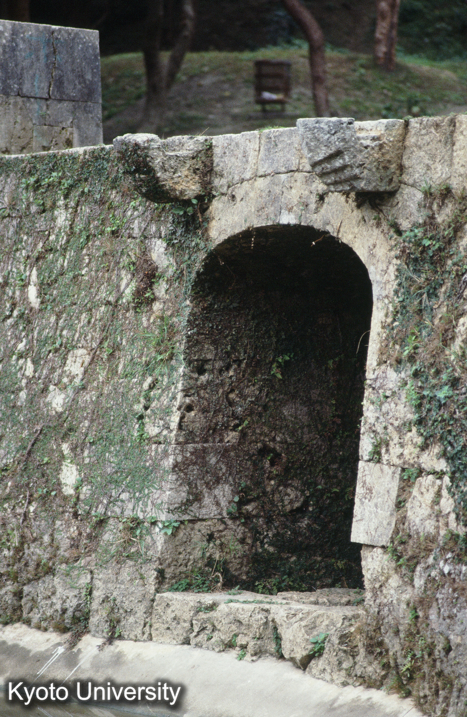 ［スライド］ (1)