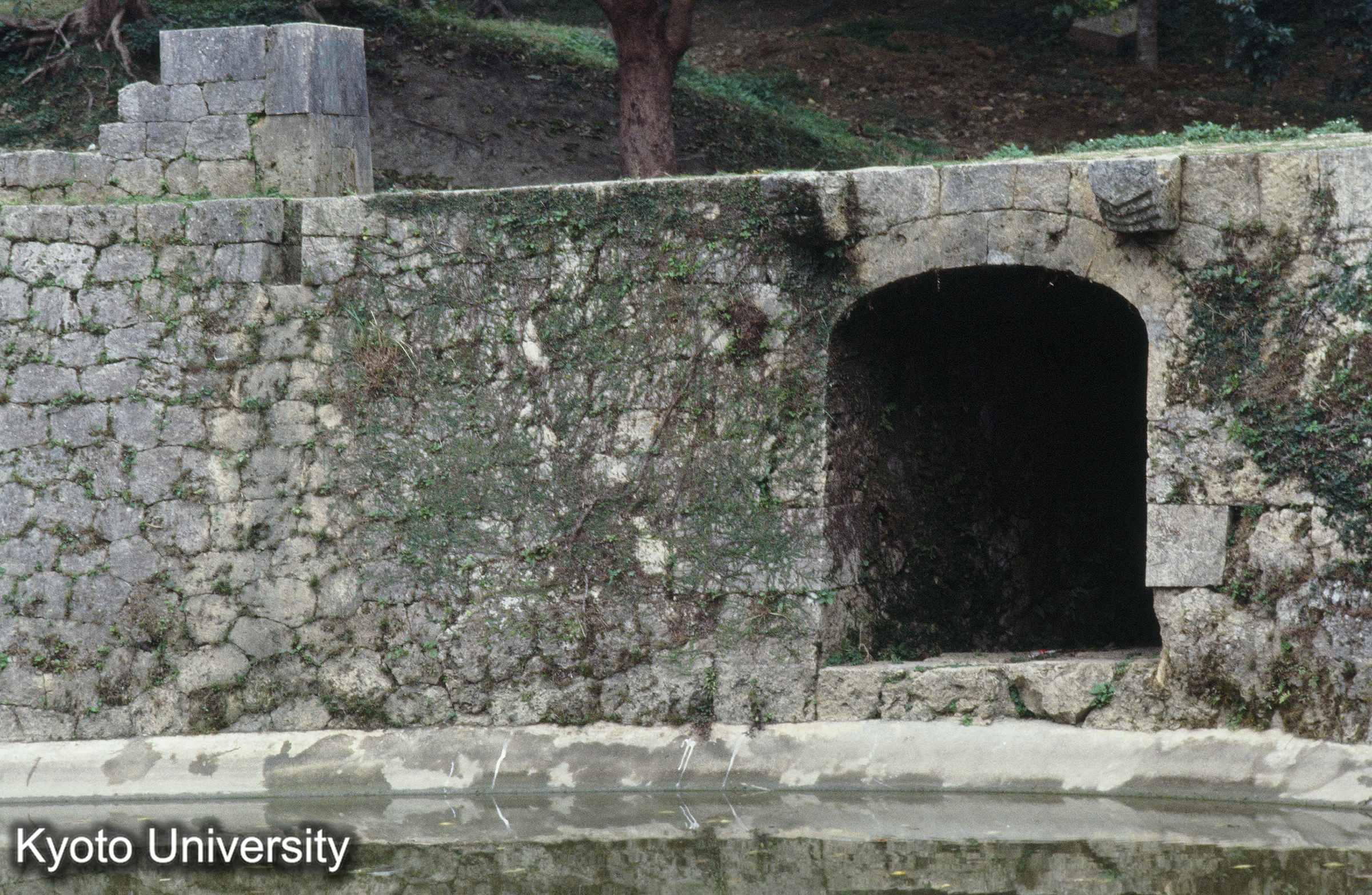 ［スライド］ (1)