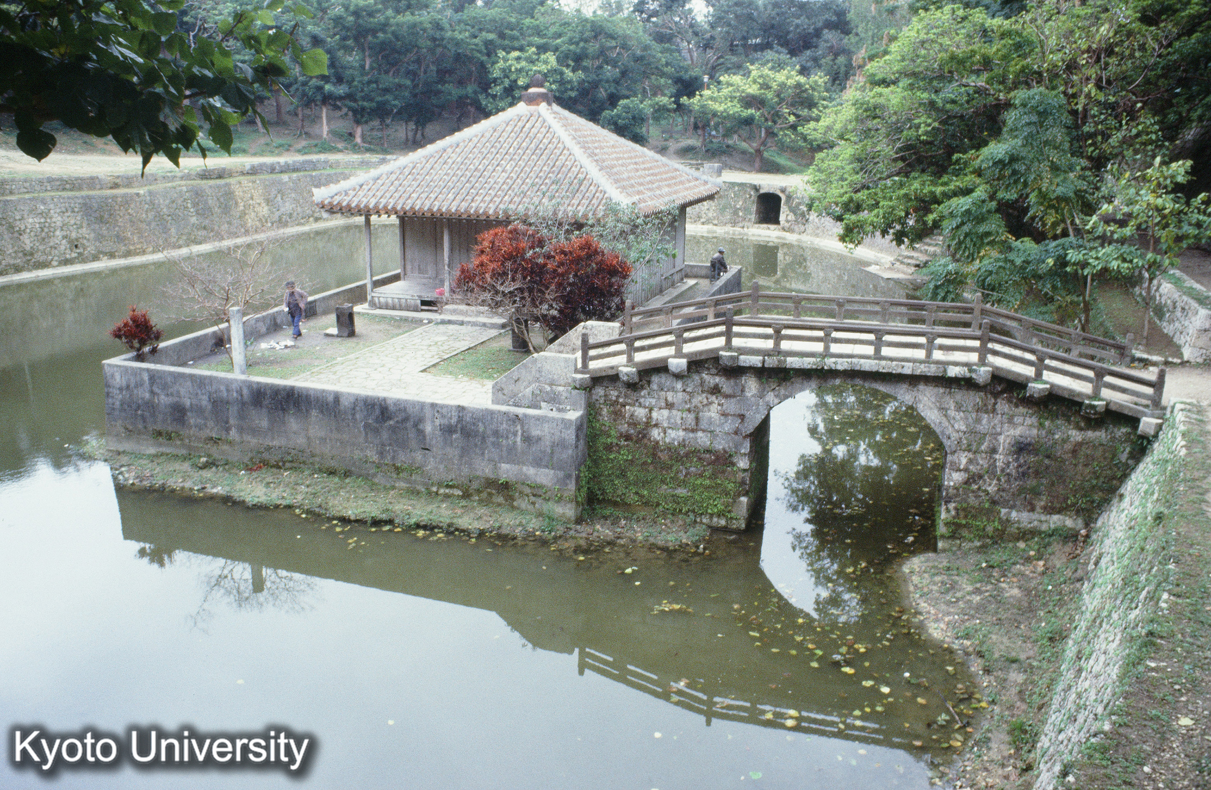 ［スライド］ (1)