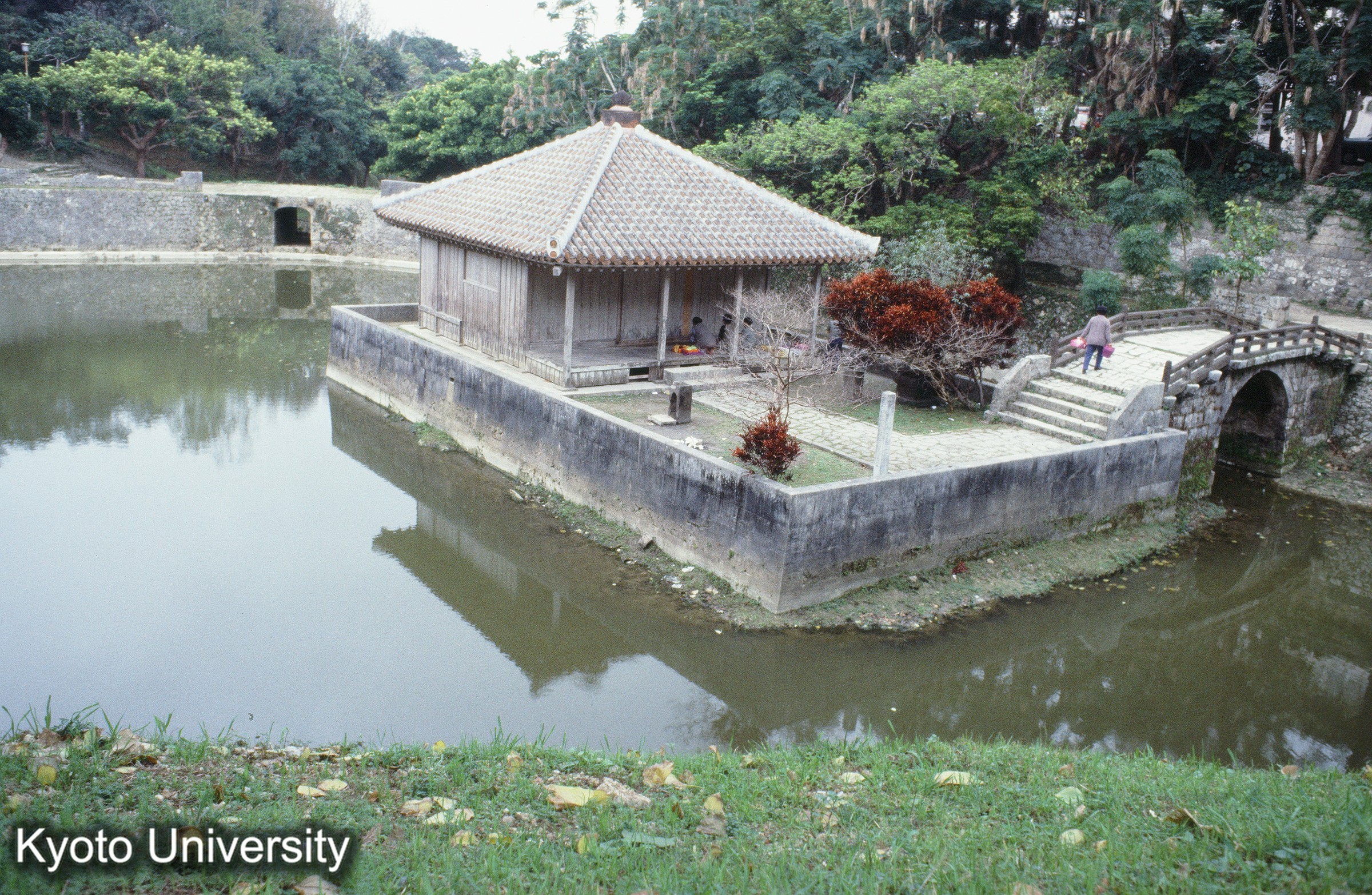 ［スライド］ (1)