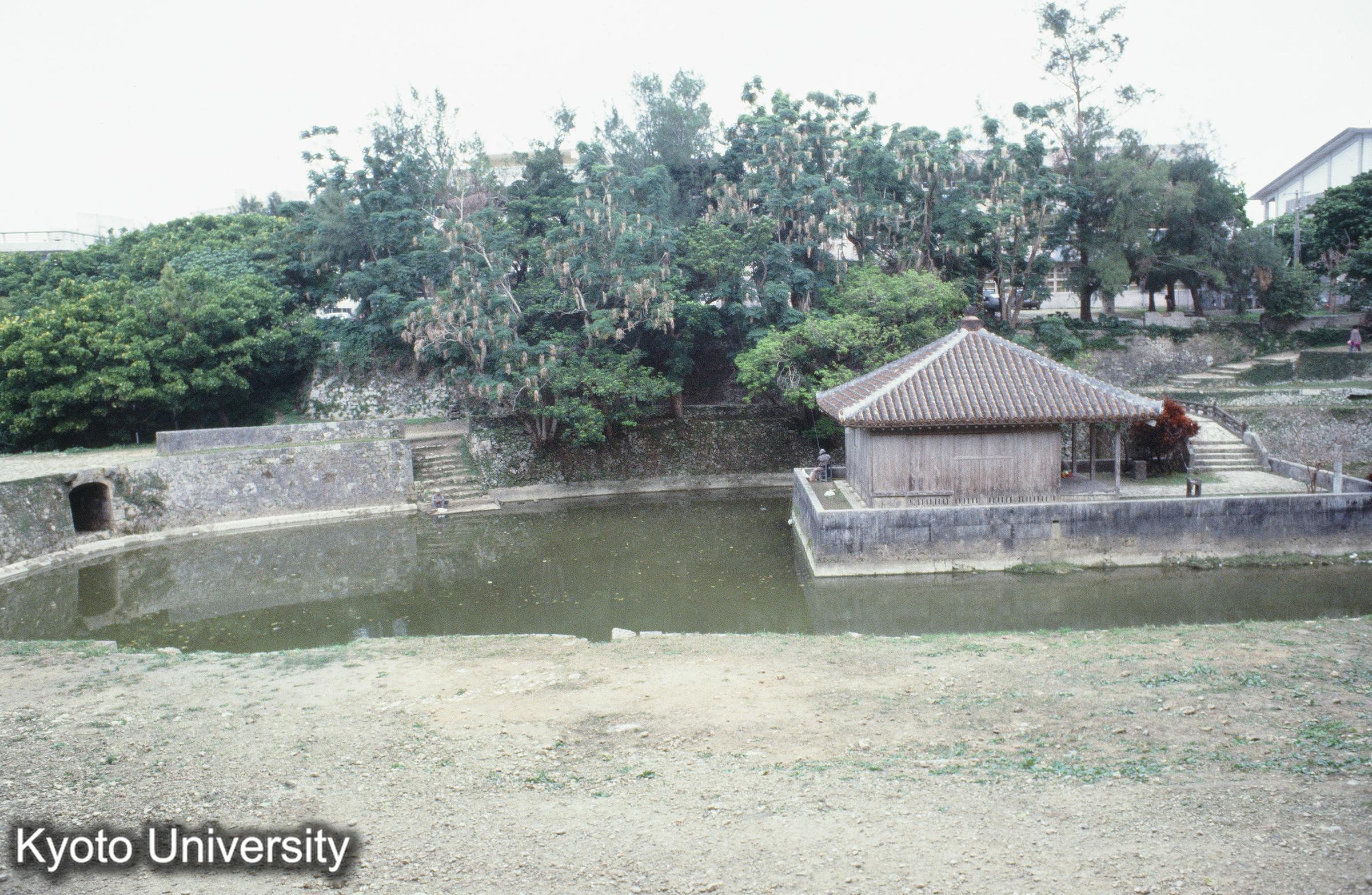 ［スライド］ (1)