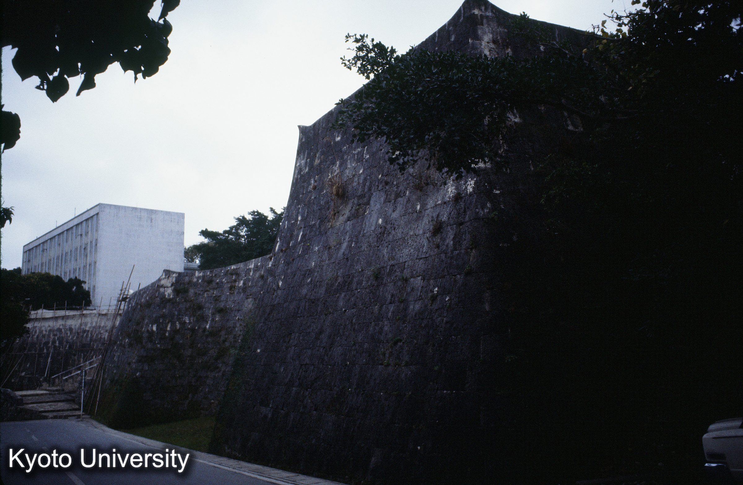 ［スライド］ (1)