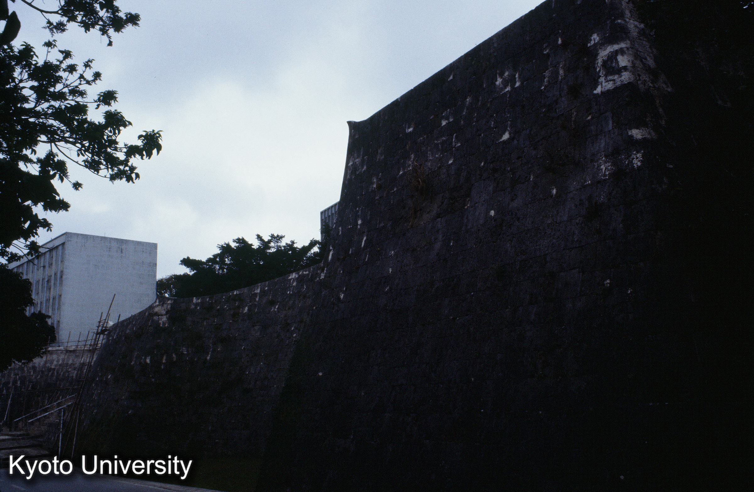 ［スライド］ (1)