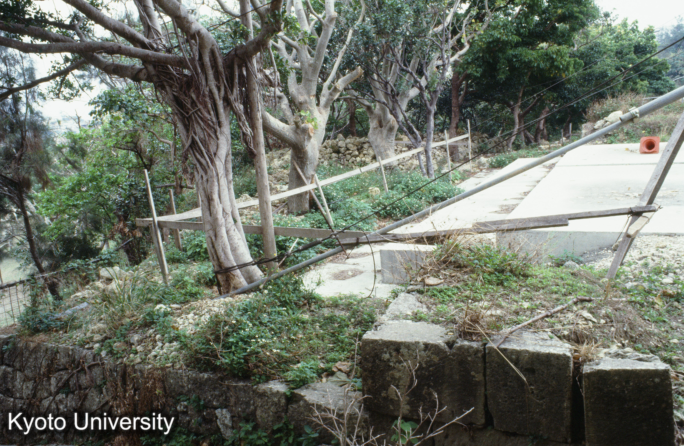 ［スライド］ (1)