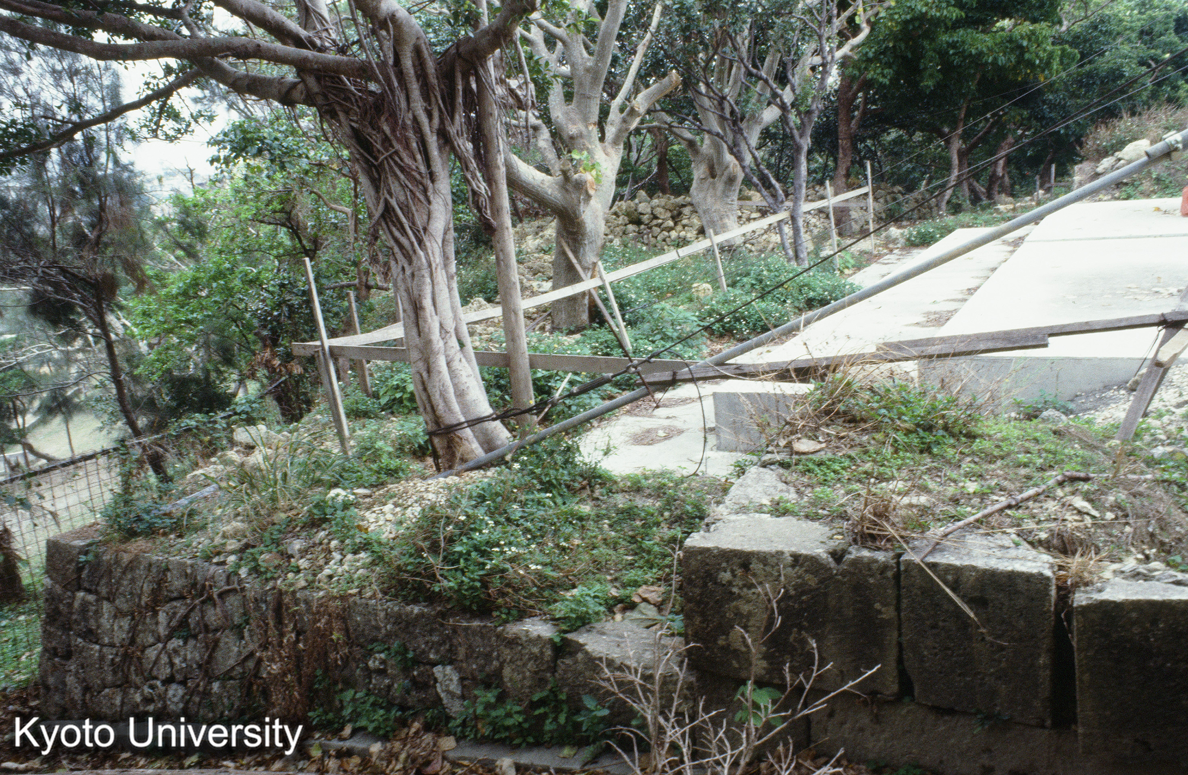 ［スライド］ (1)