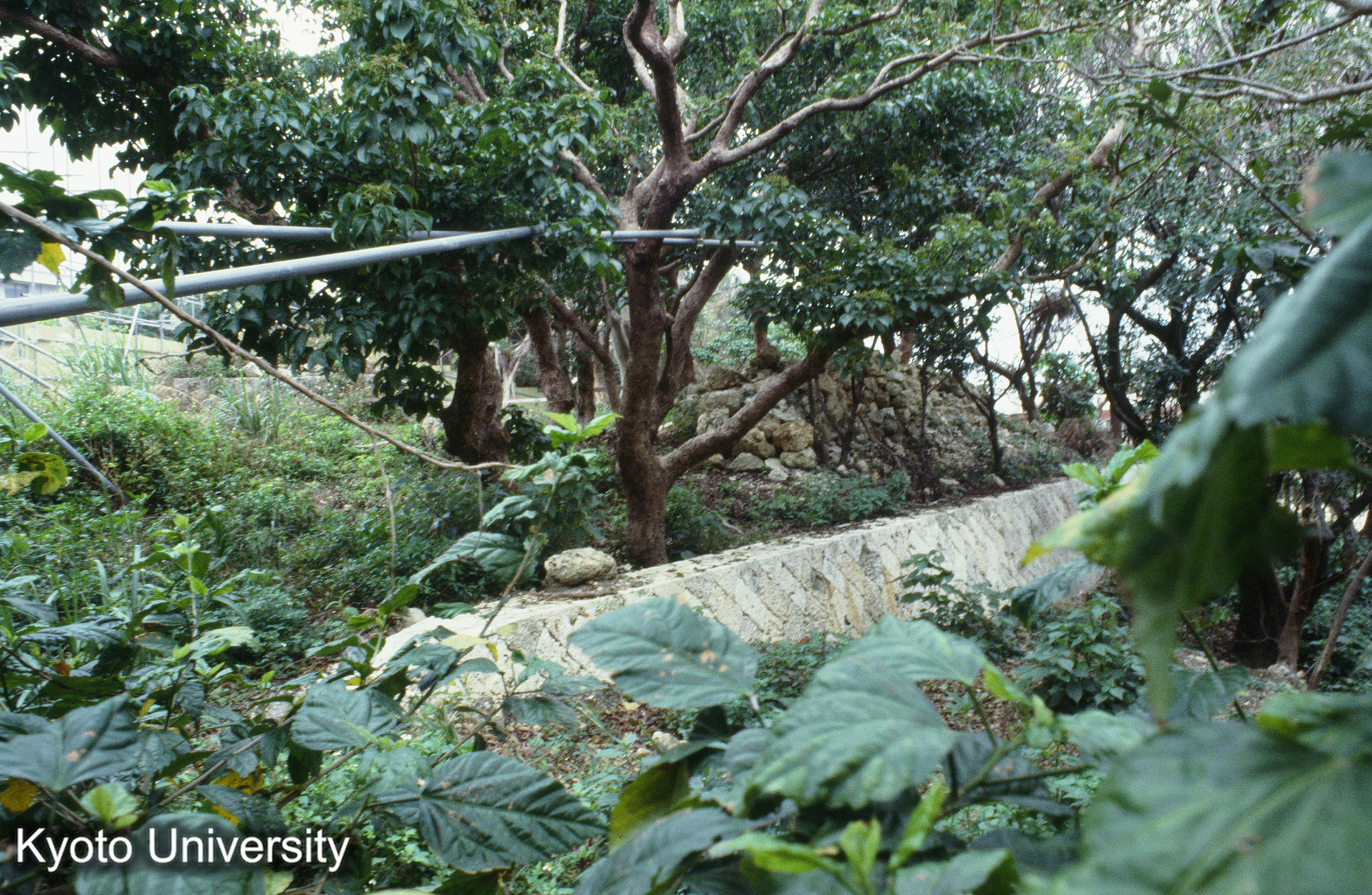 ［スライド］ (1)