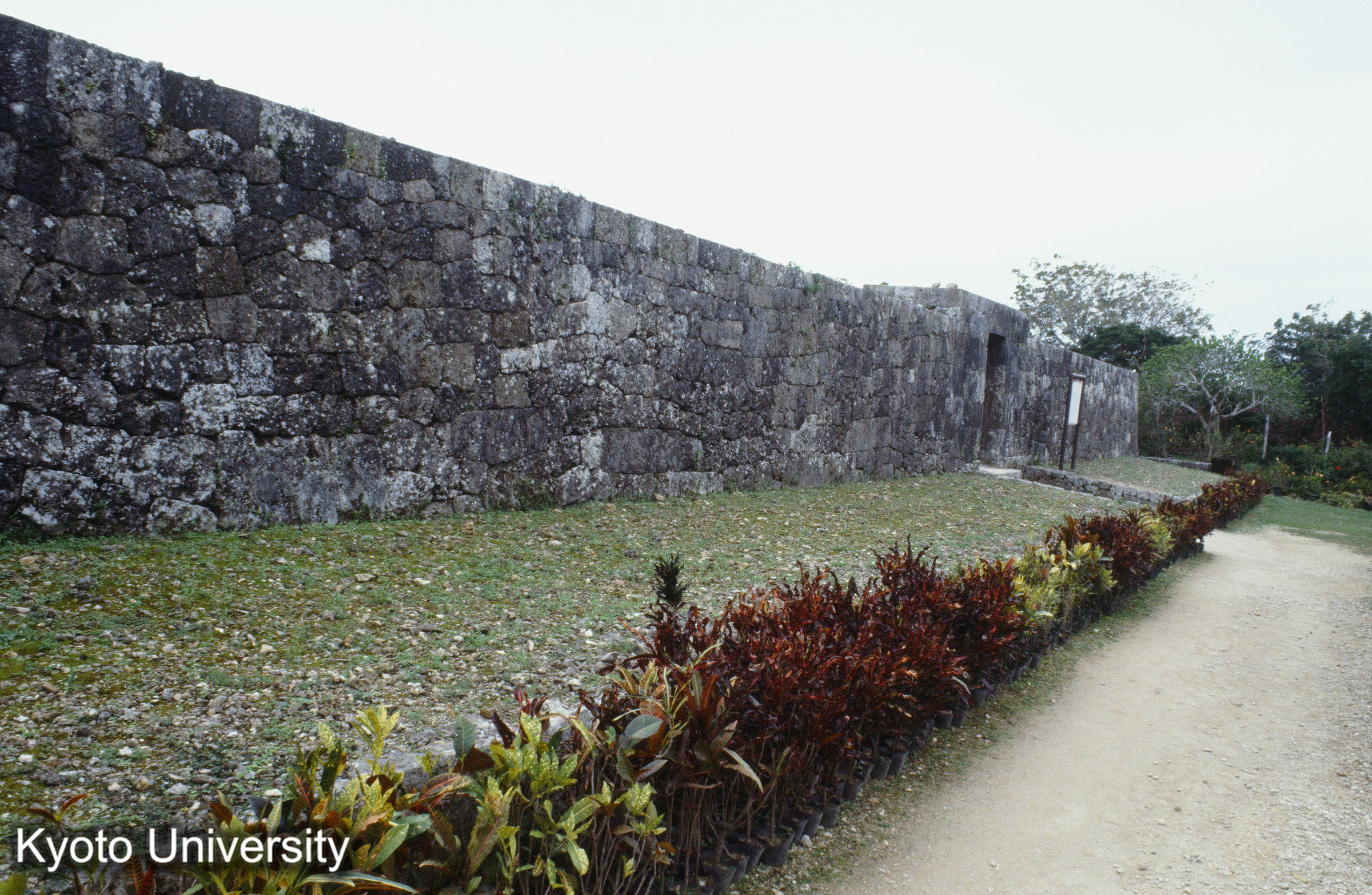 ［スライド］ (1)