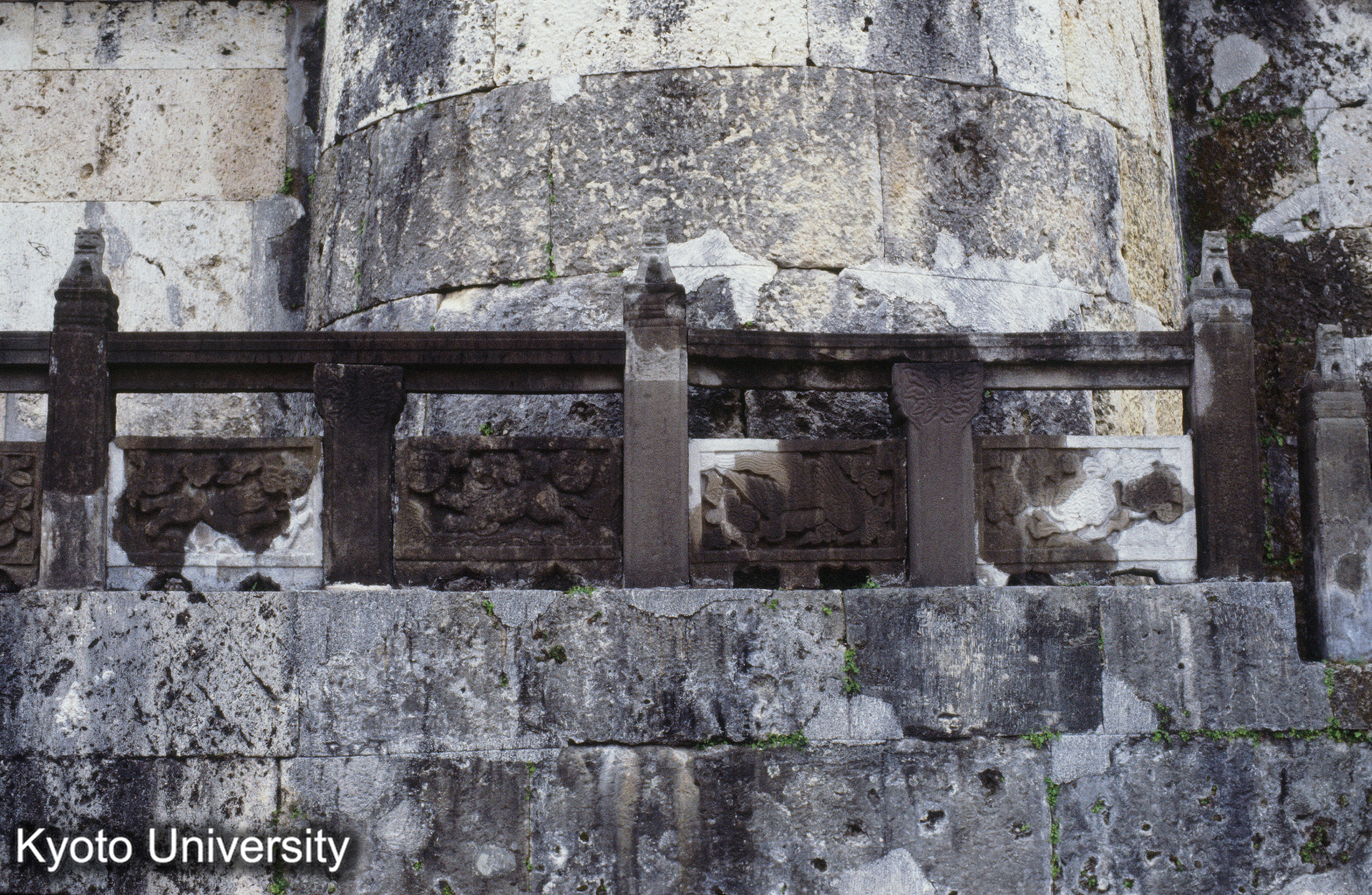 ［スライド］ (1)