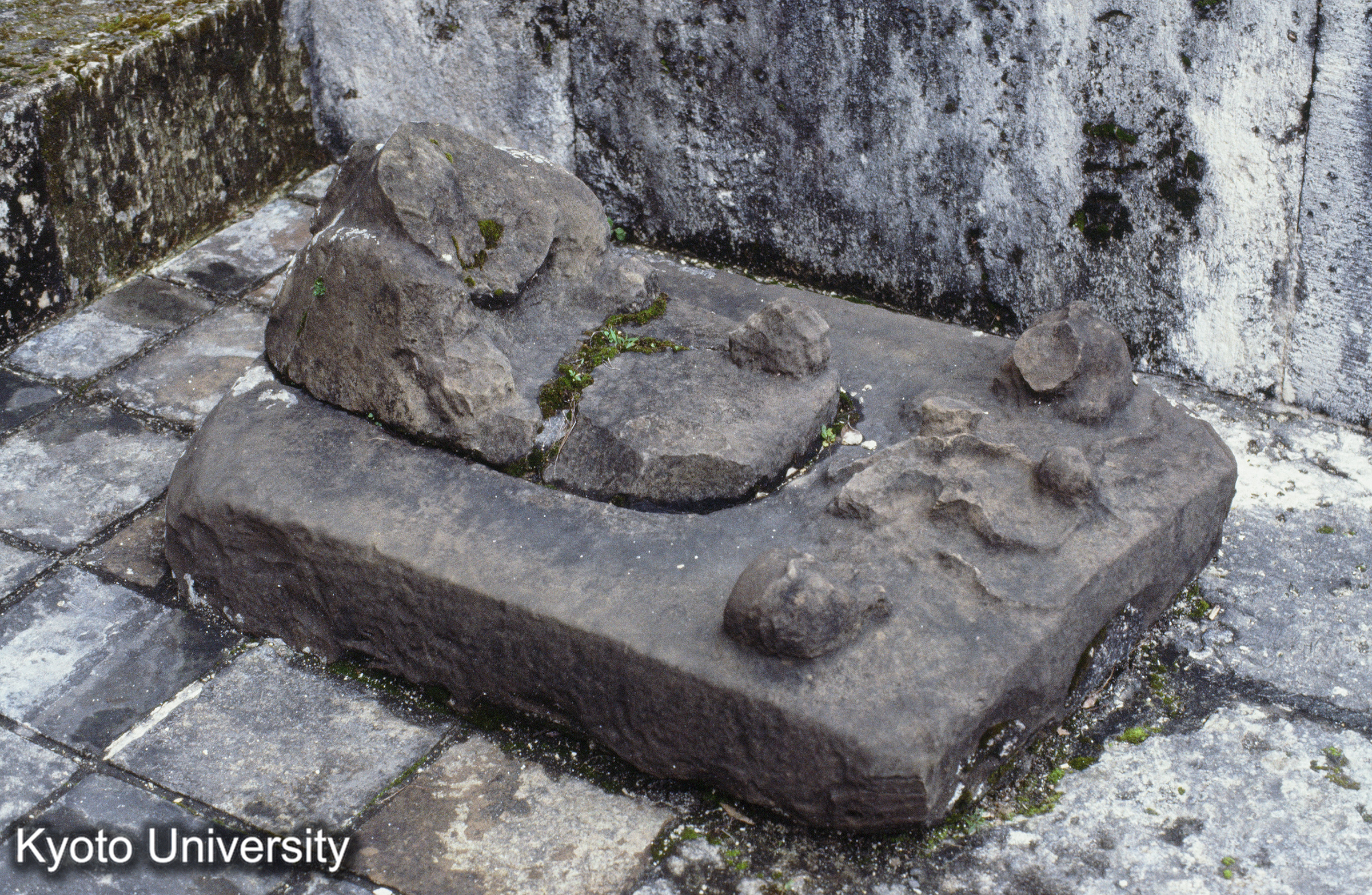 ［スライド］ (1)