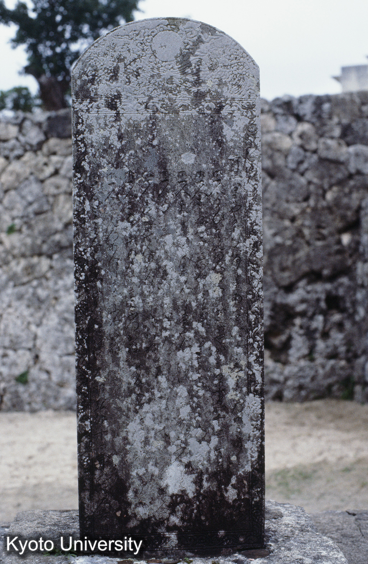 ［スライド］ (1)