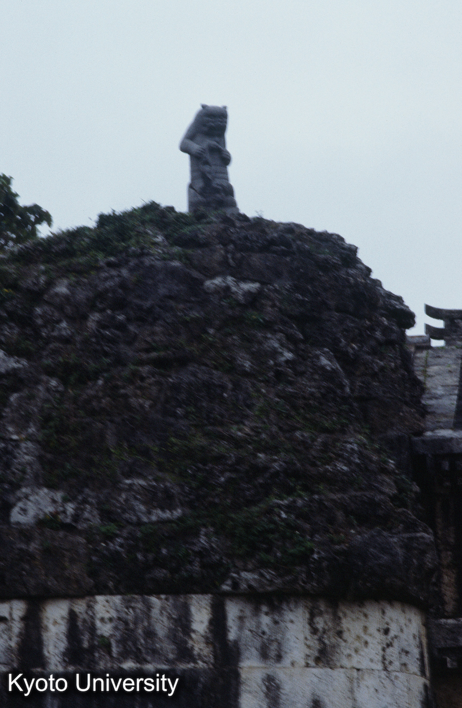 ［スライド］ (1)