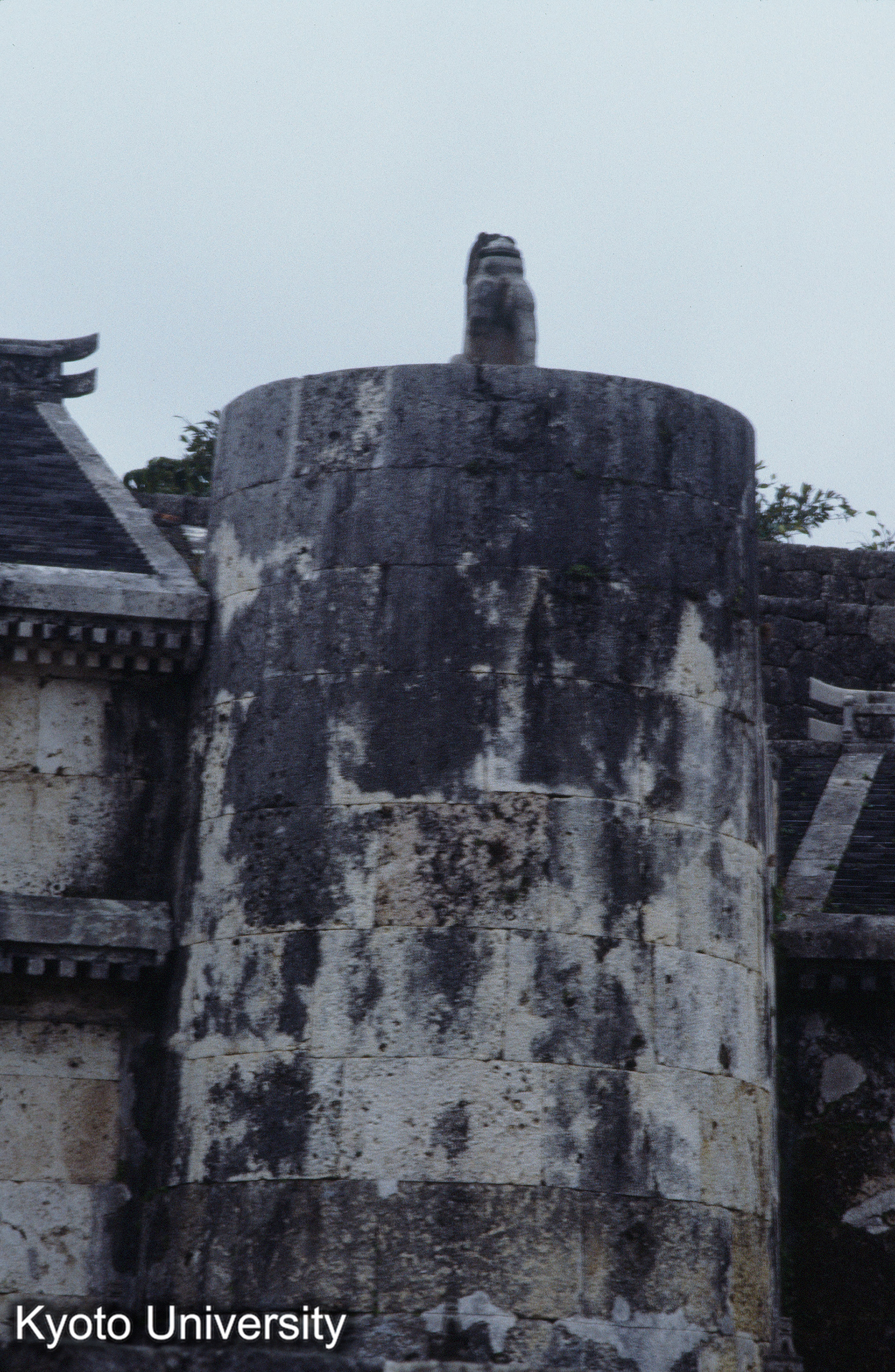 ［スライド］ (1)