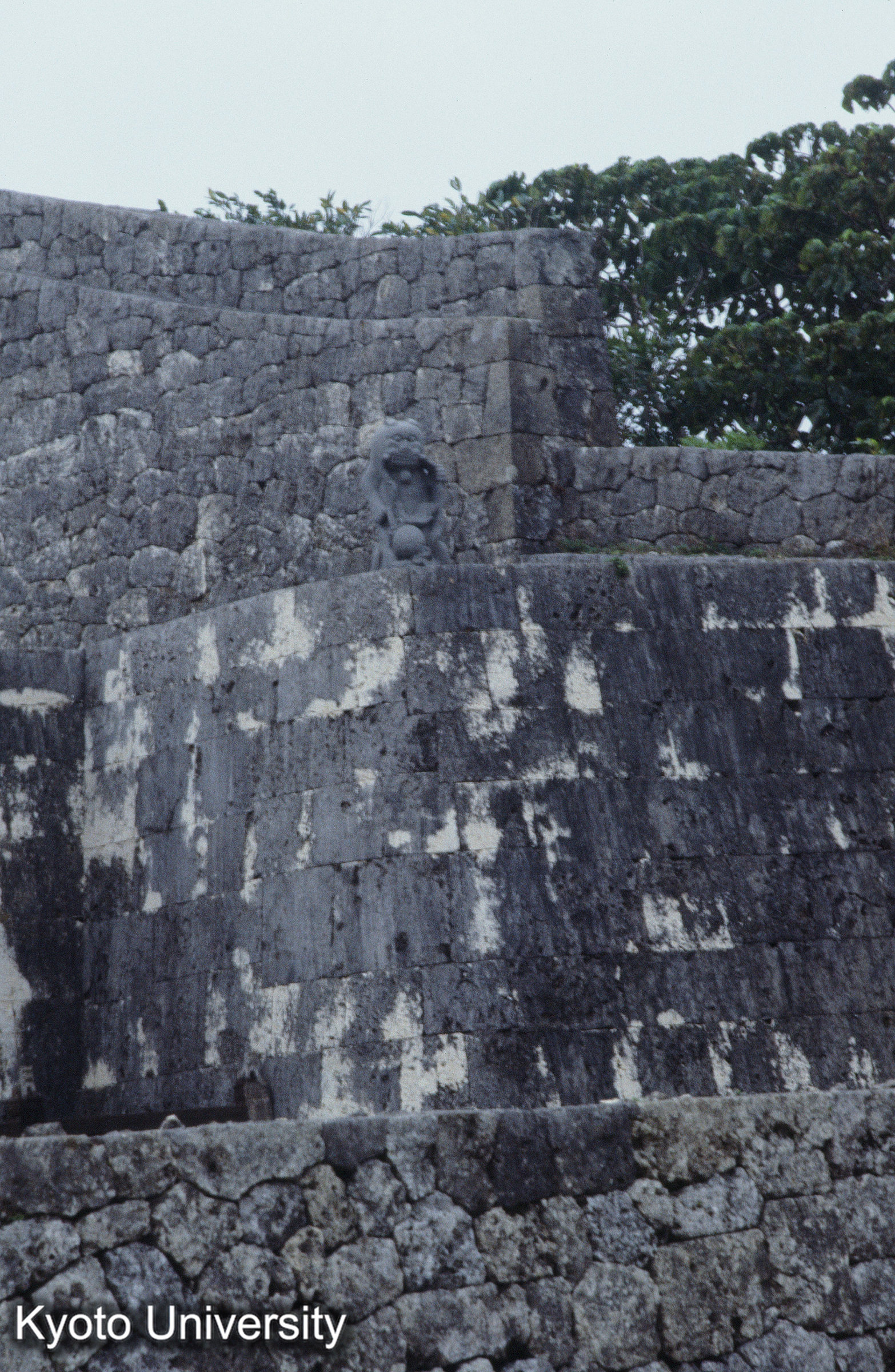 ［スライド］ (1)