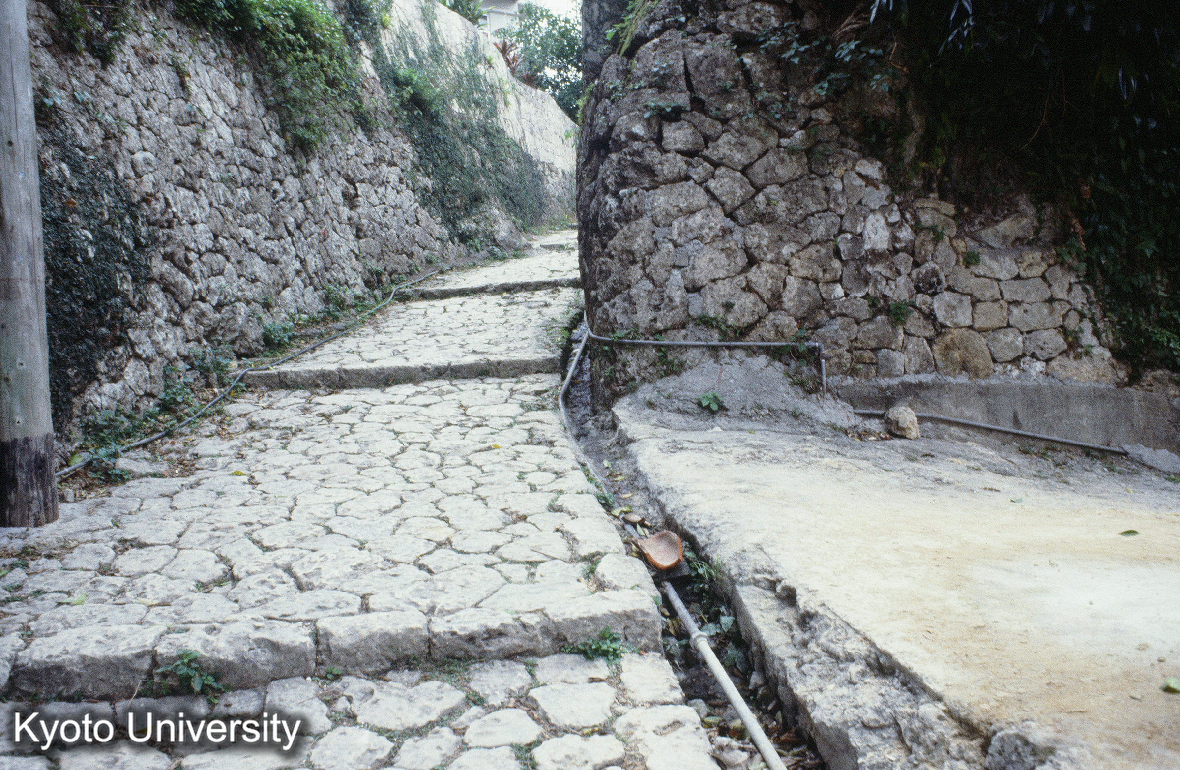 ［スライド］ (1)