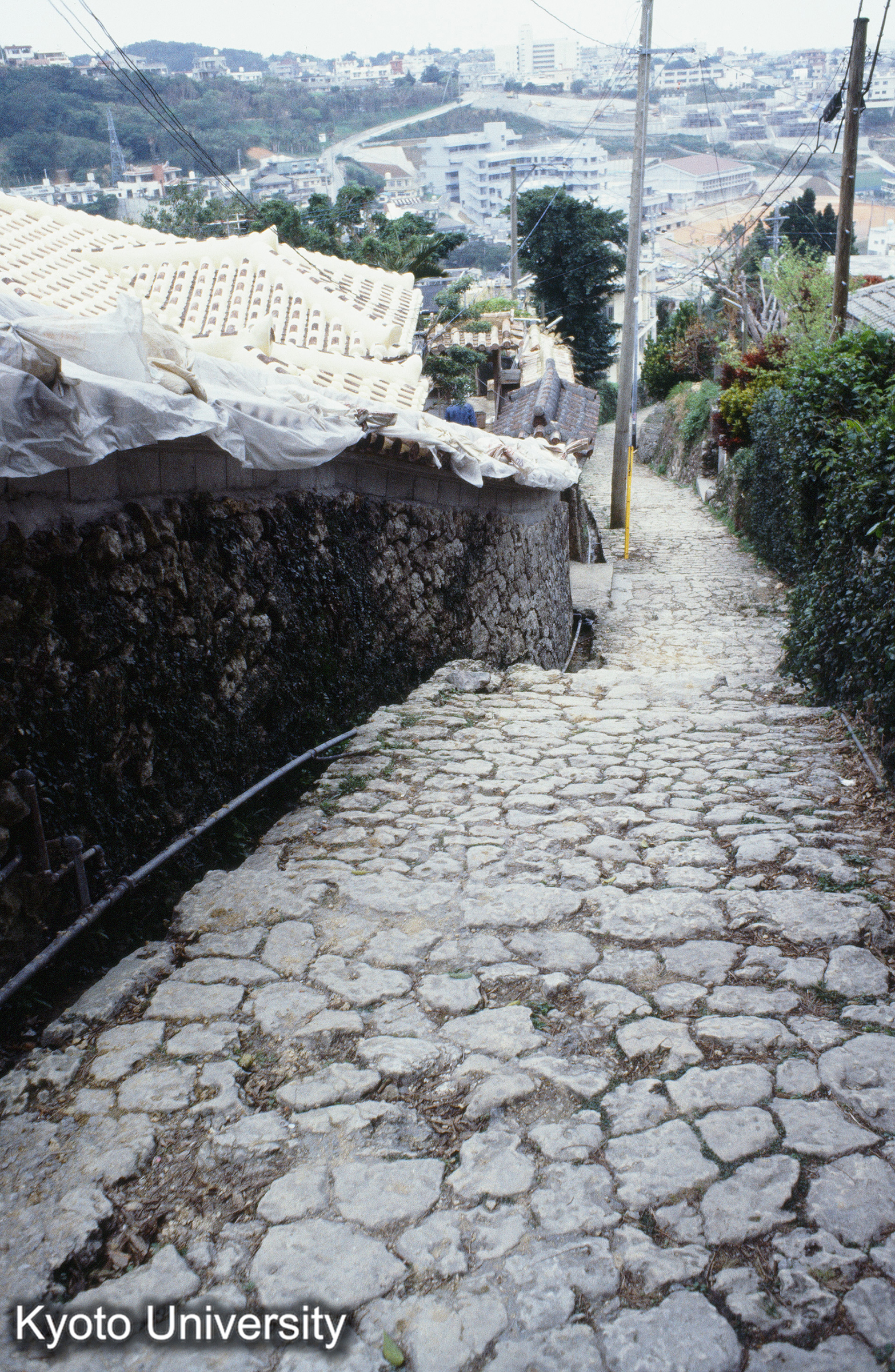 ［スライド］ (1)