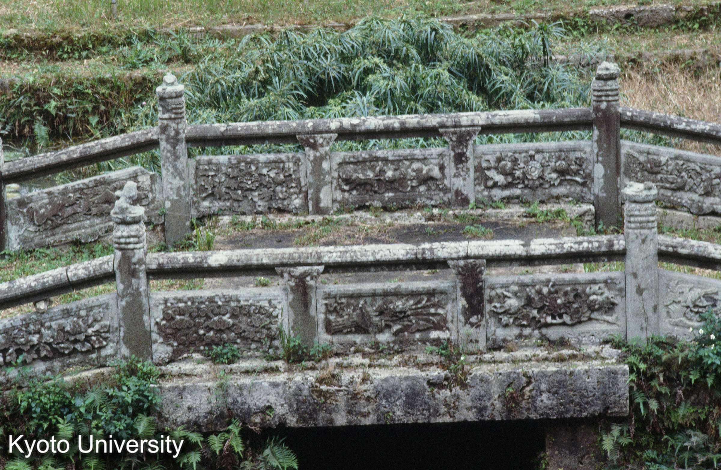 ［スライド］ (1)