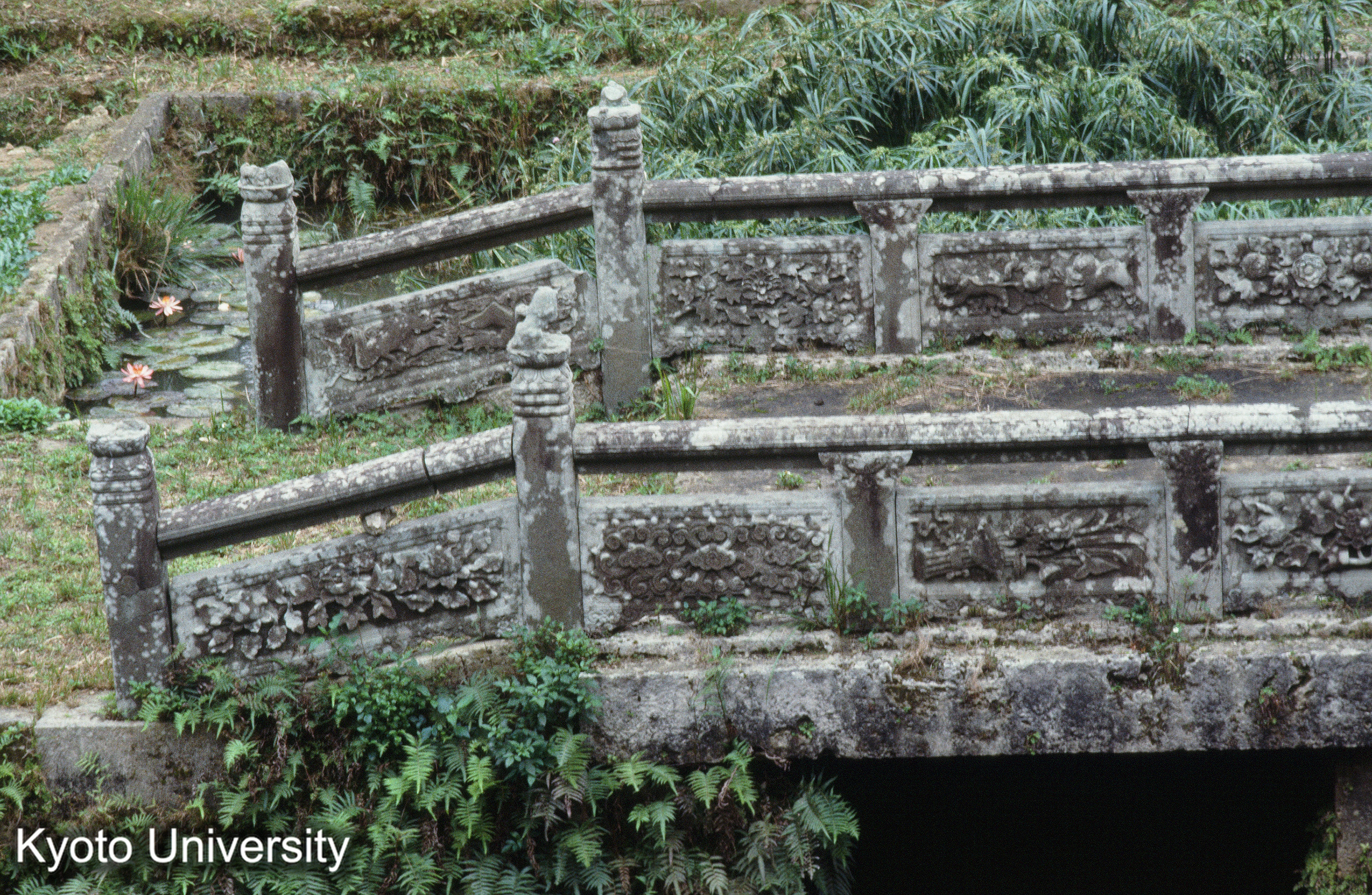 ［スライド］ (1)