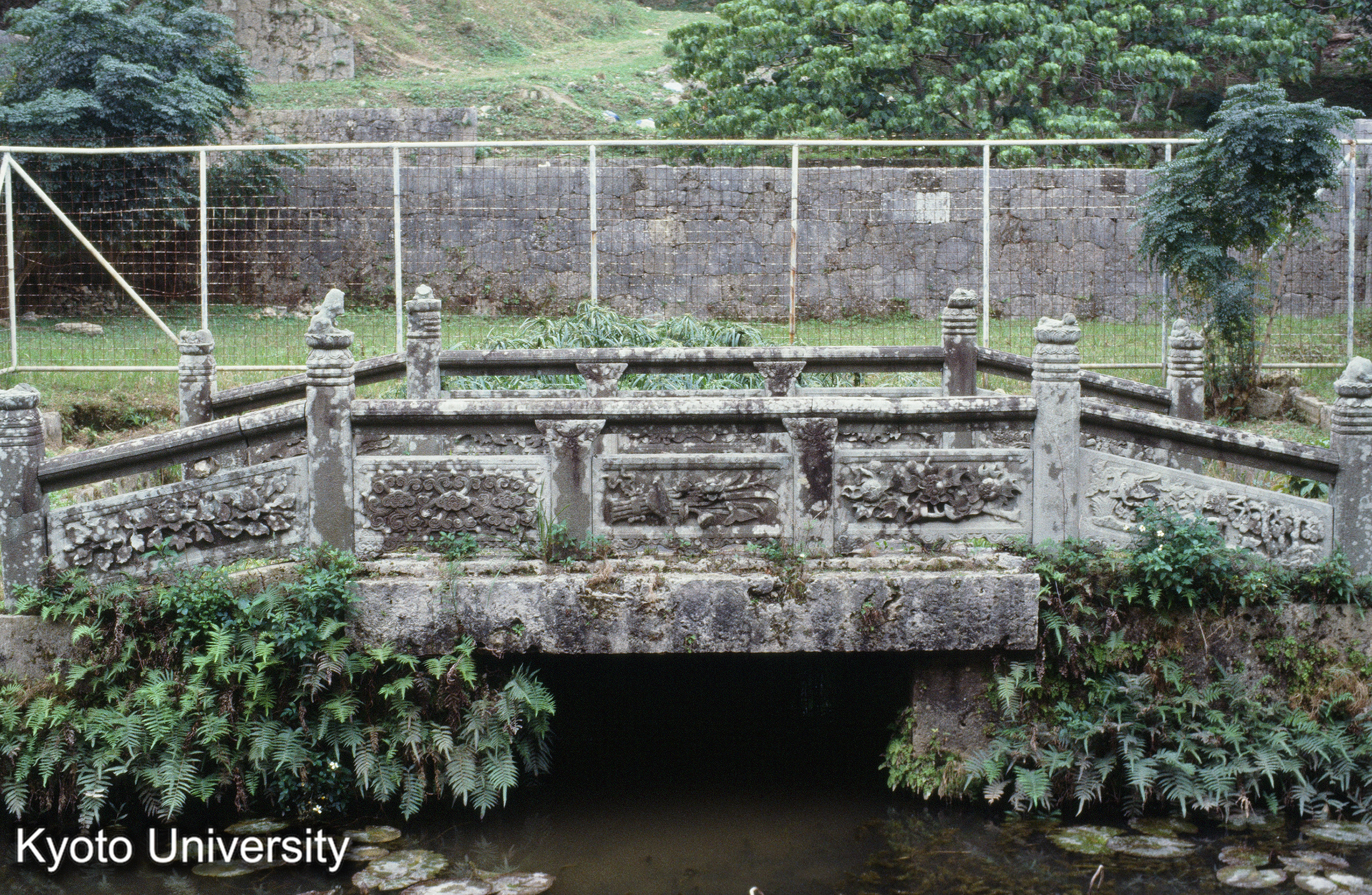 ［スライド］ (1)