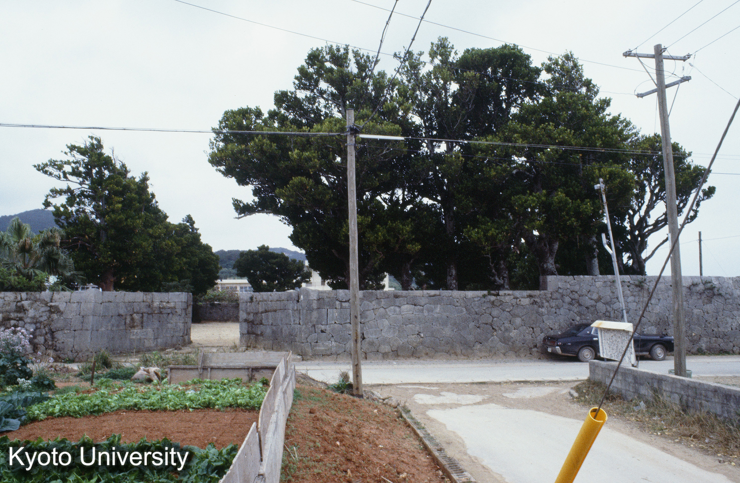 ［スライド］ (1)