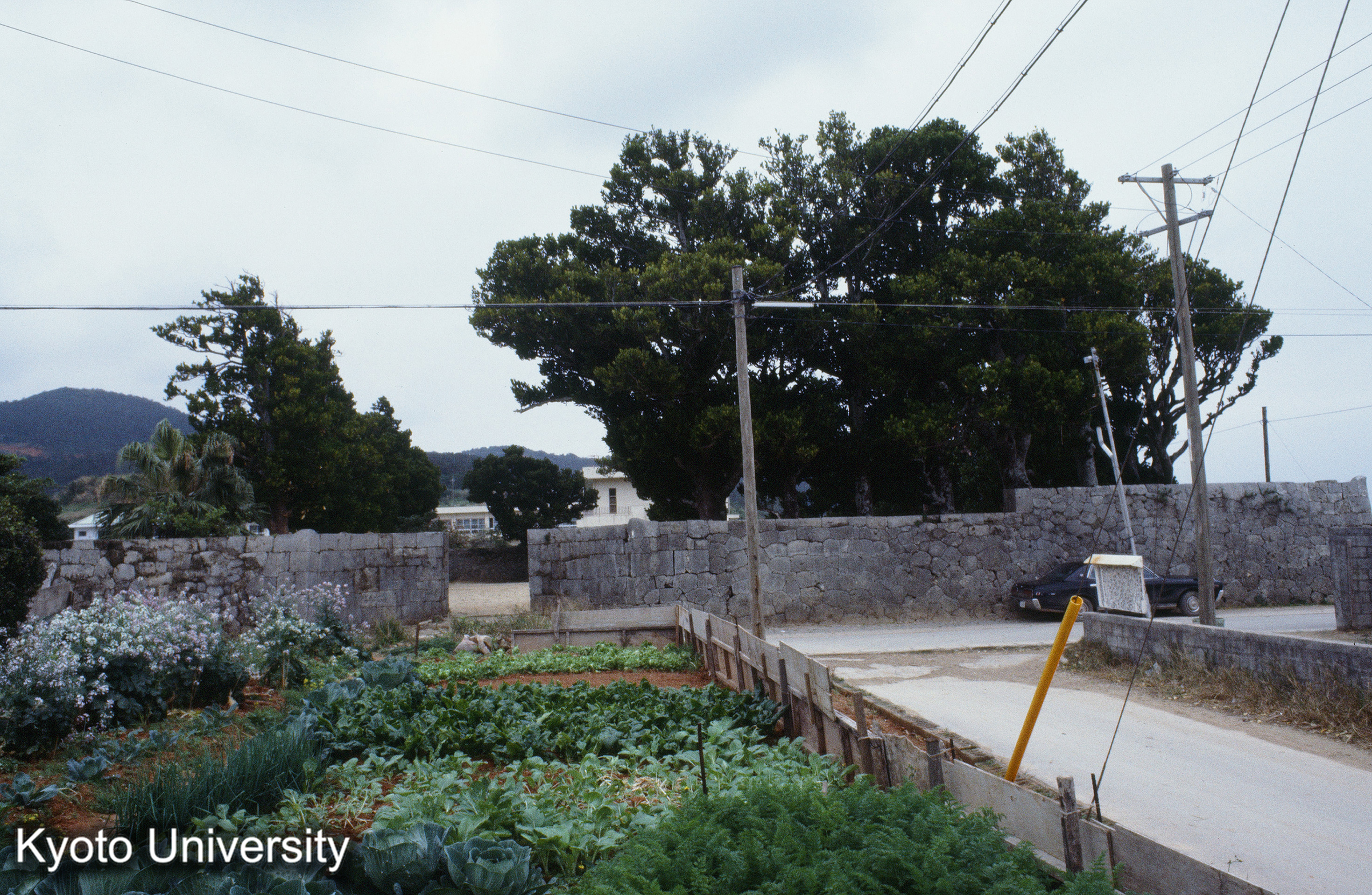 ［スライド］ (1)