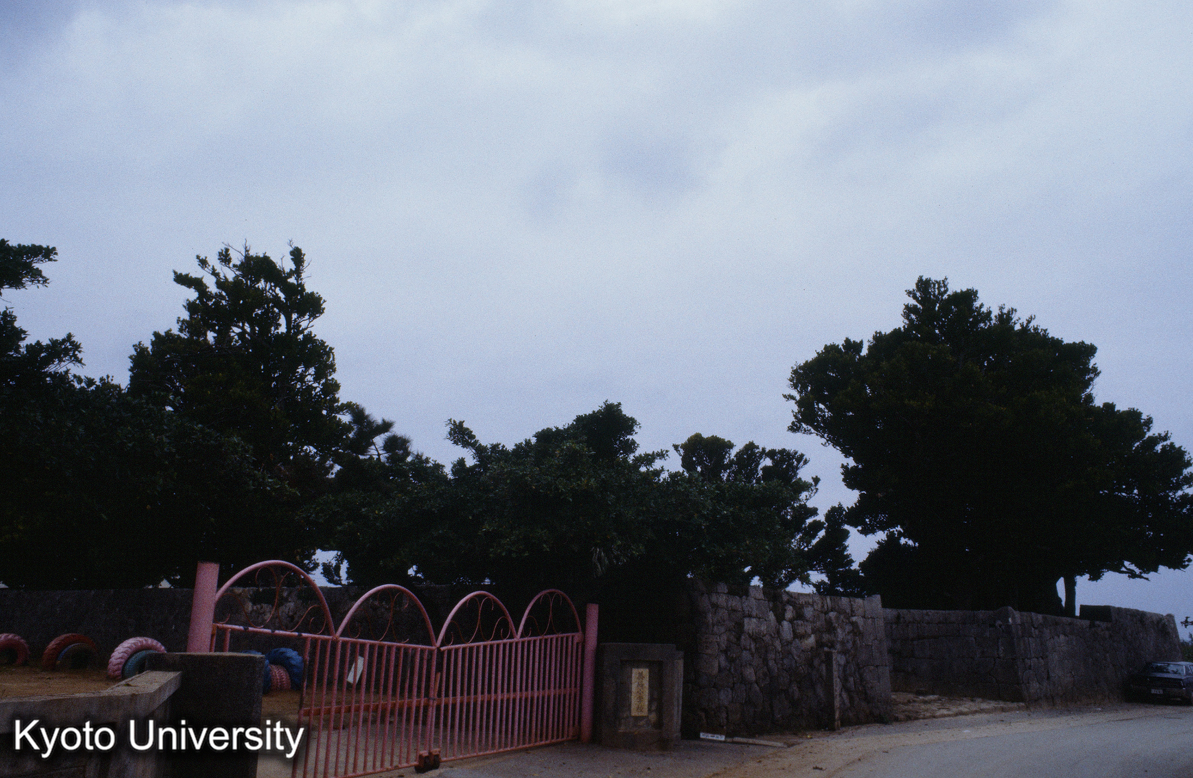 ［スライド］ (1)